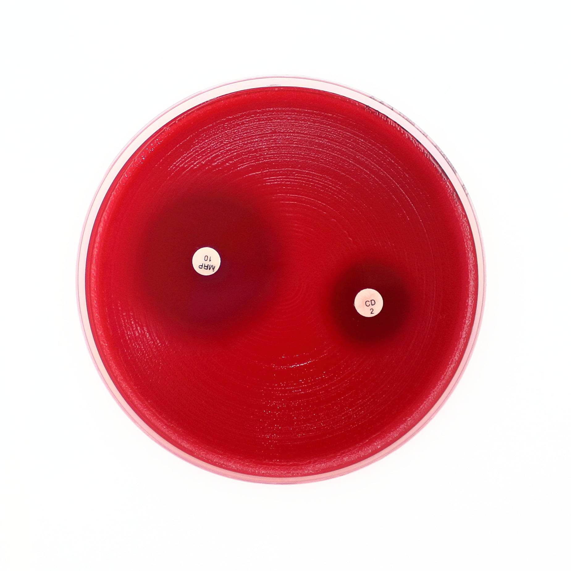 How Lab Data Shapes the Search for Effective, Targeted Antibiotics - Kormay Biomedicals store