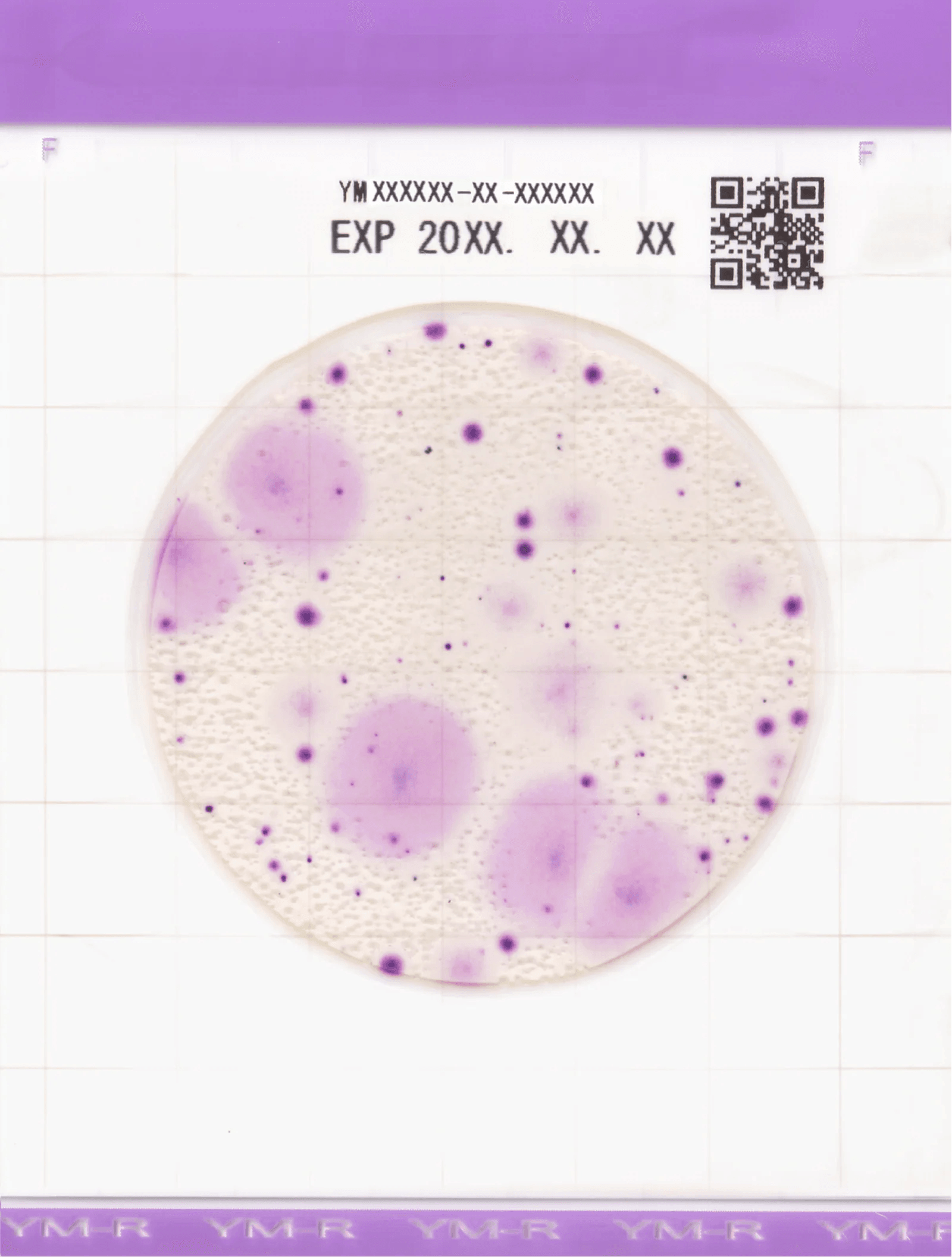 Easy Plate YM-R (Prepared media plate yeast and mold count (Rapid Type)) - Kormay Biomedicals store