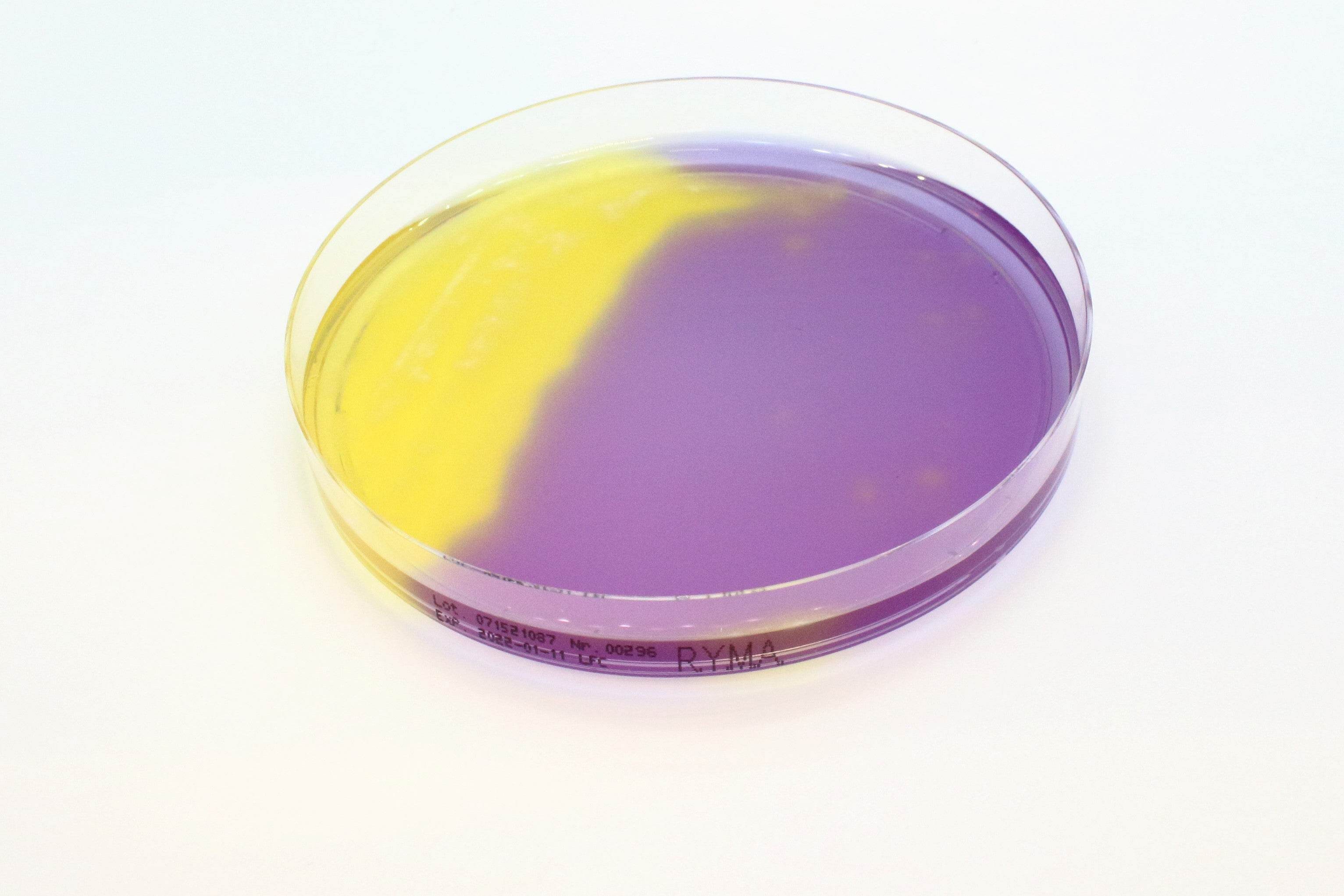 Rapid Y/M Agar - Kormay Biomedicals store