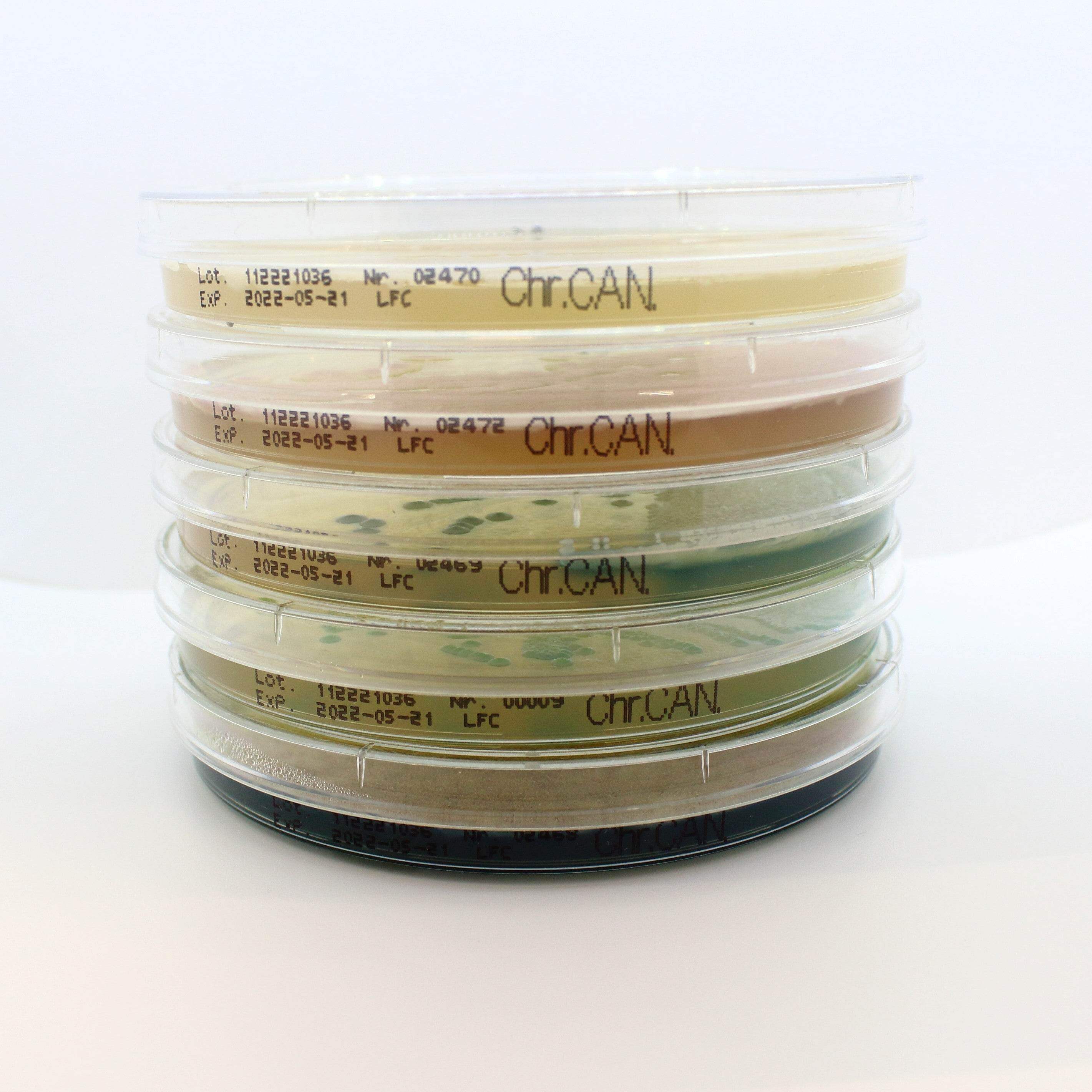 Chromatic Candida - Kormay Biomedicals store