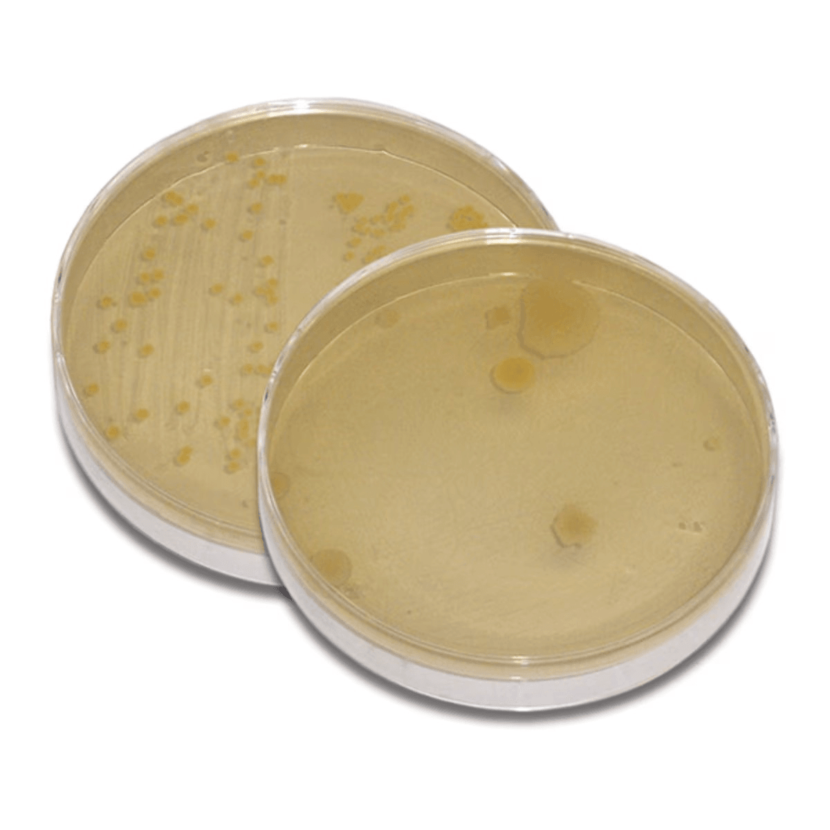 How Clean is the Water We Drink and the Air We Breathe? - Kormay Biomedicals store