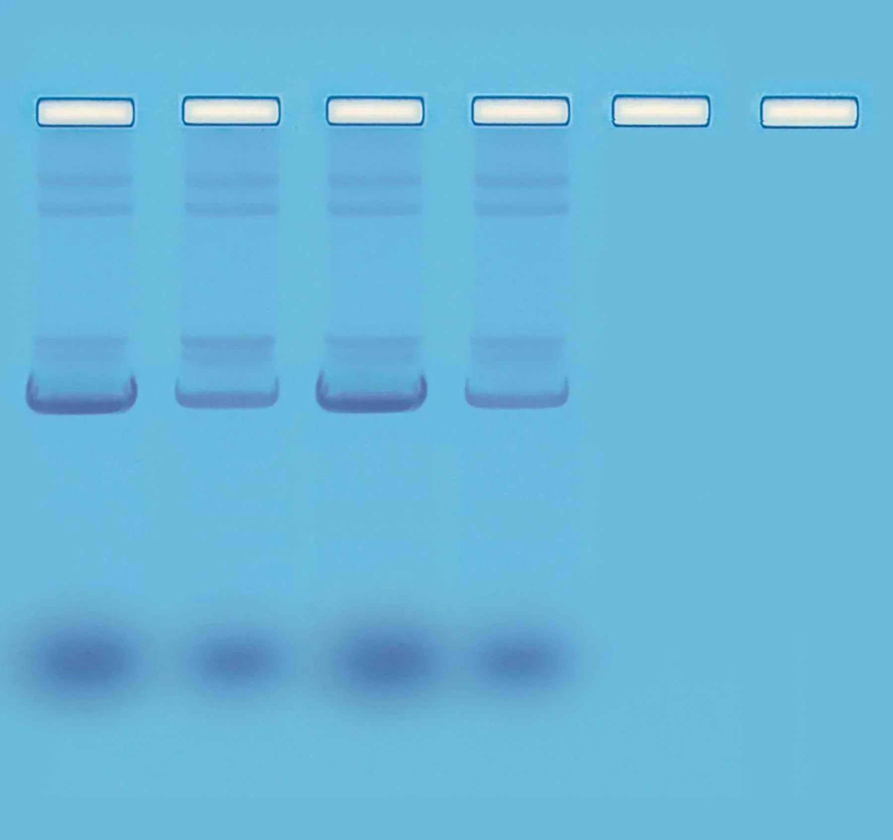 Mini-Prep Isolation of Plasmid DNA - Kormay Biomedicals store