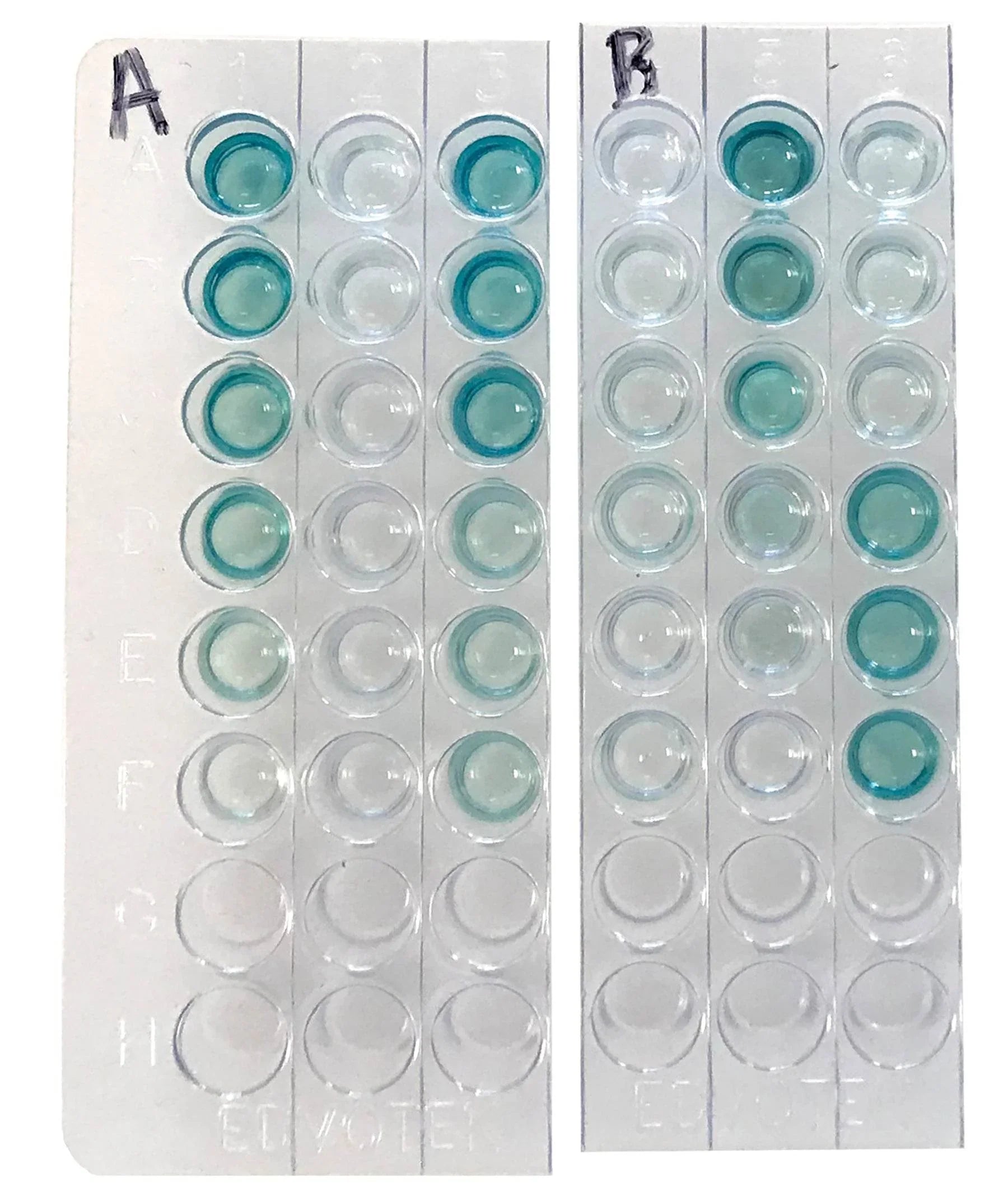 Quantitative ELISA - Kormay Biomedicals store