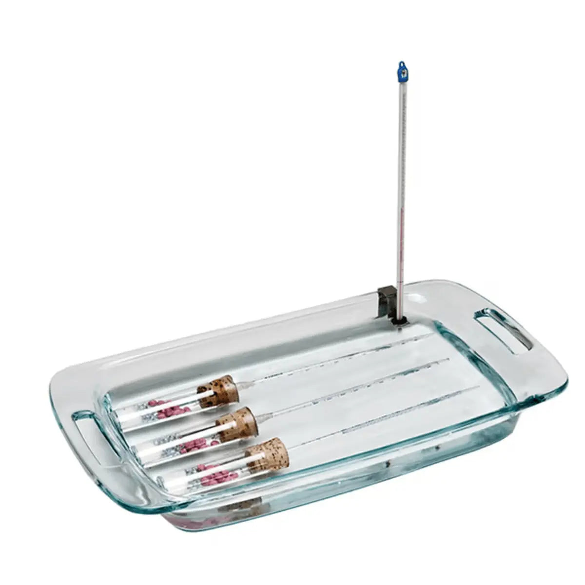 Cellular Respiration - Kormay Biomedicals store