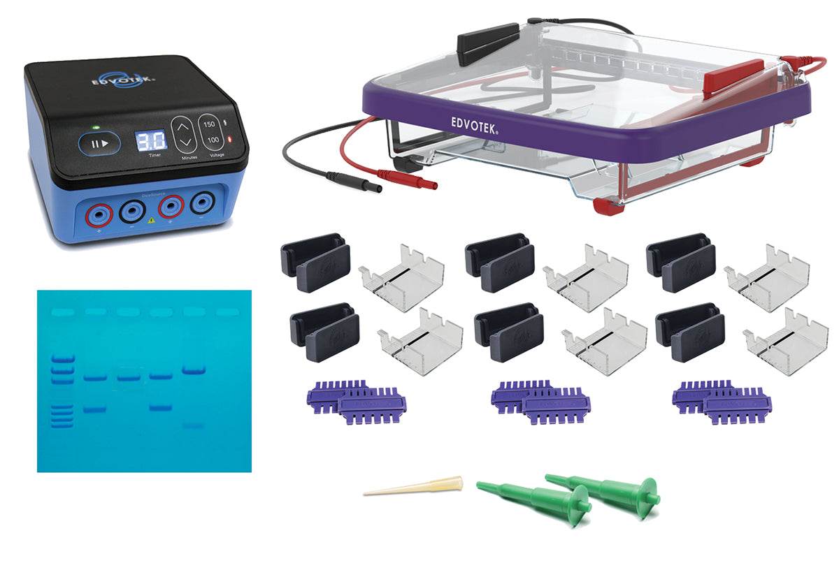 Classroom DNA Electrophoresis LabStation™ - Kormay Biomedicals store