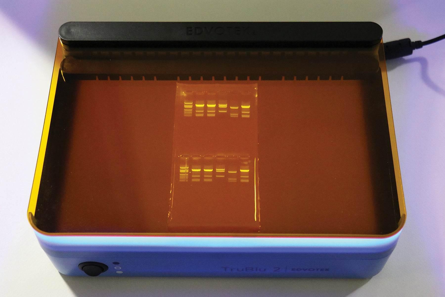 TruBlu™2 Blue Light Transilluminator (27 x 15 cm) - Kormay Biomedicals store
