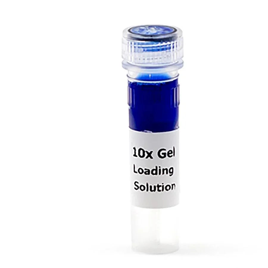 Gel Loading Solution (10x) - Kormay Biomedicals store
