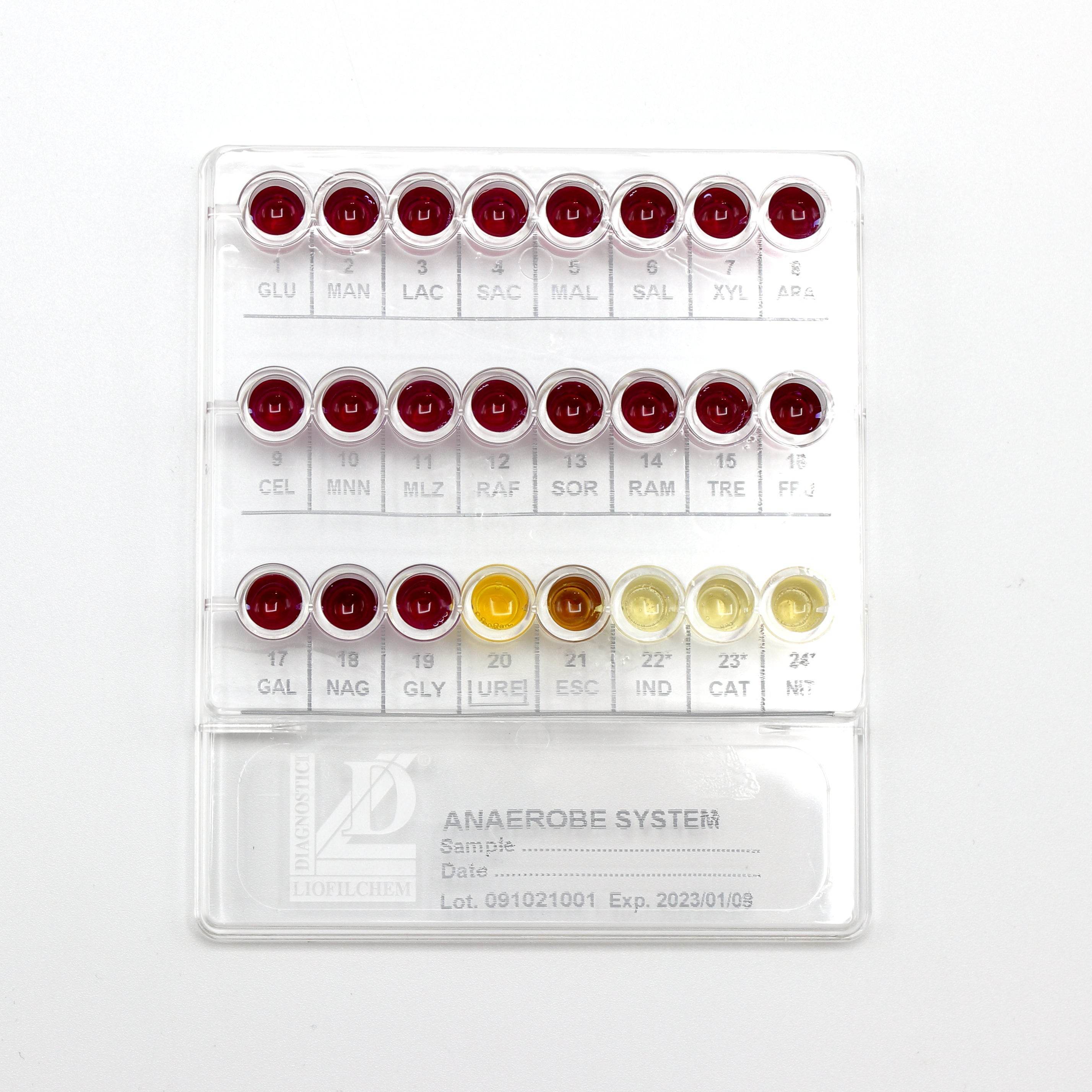 Anaerobe System - Kormay Biomedicals store