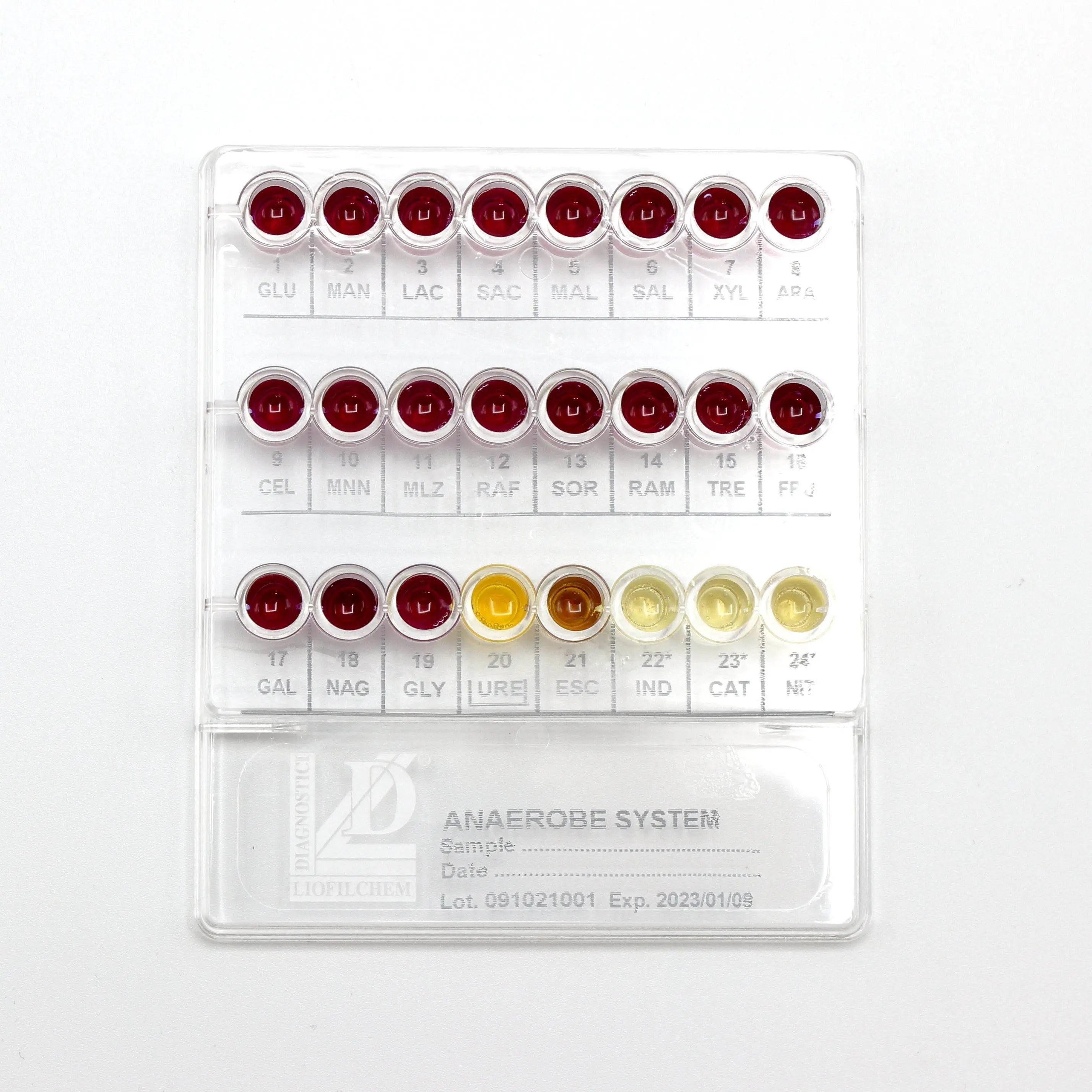 Anaerobe System - Kormay Biomedicals store