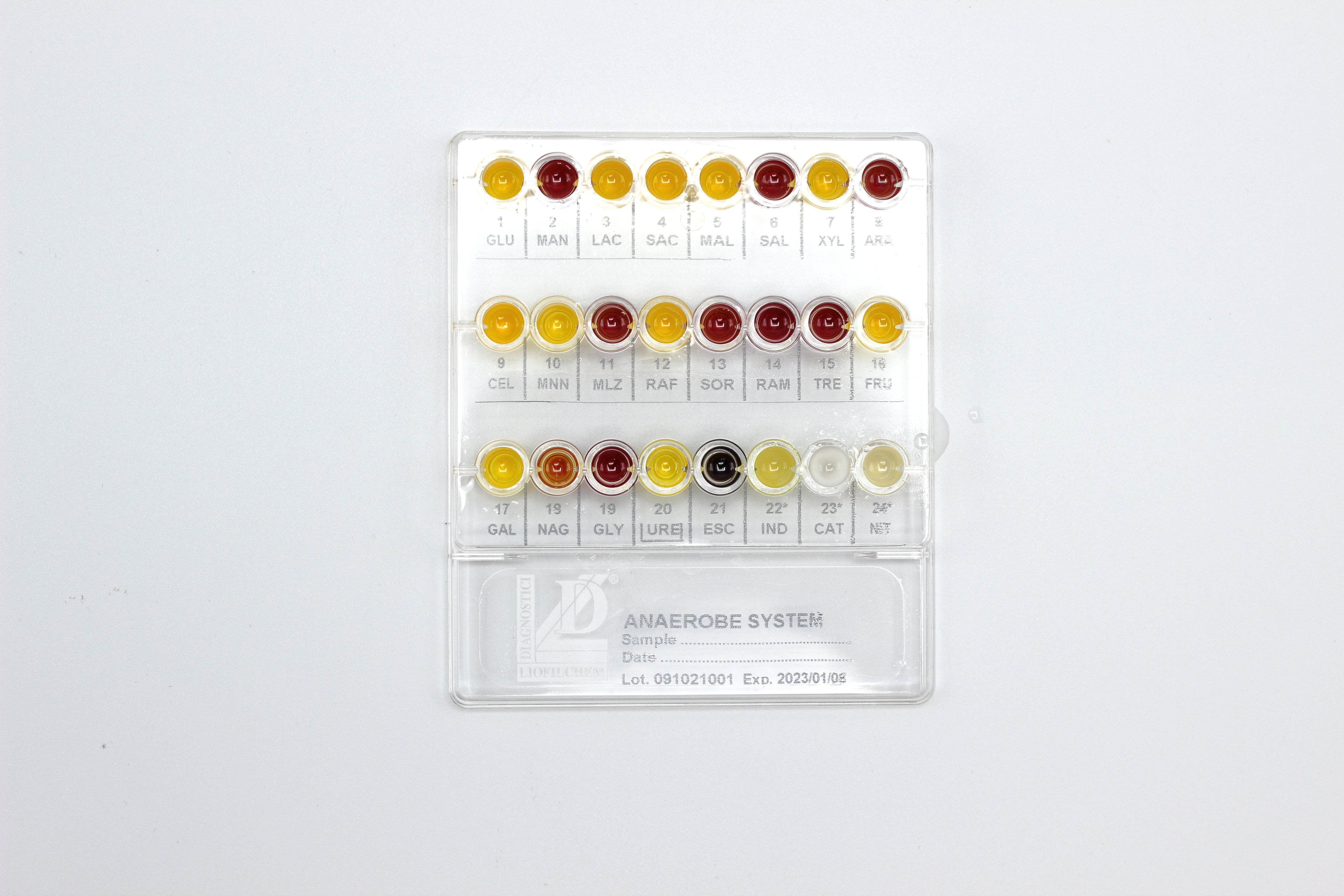 Anaerobe System - Kormay Biomedicals store