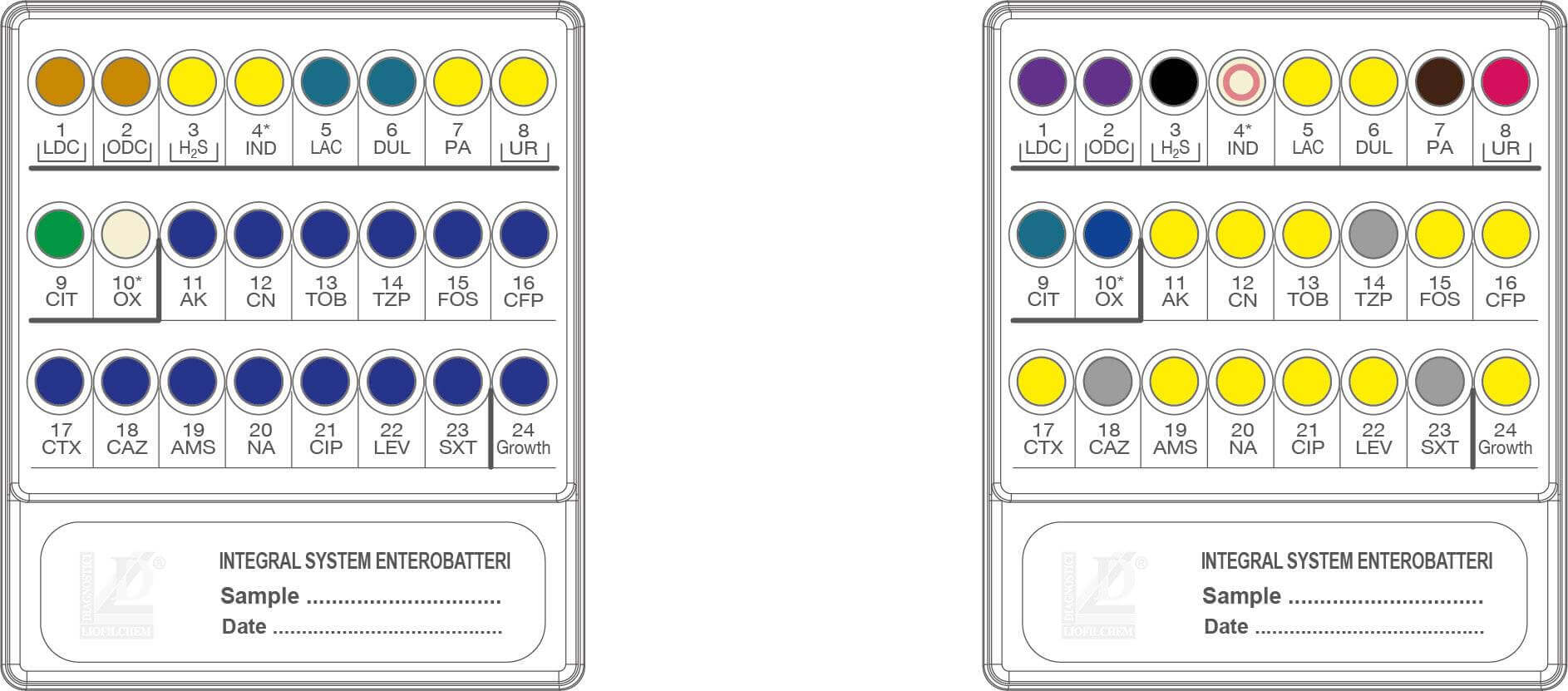 INTEGRAL SYSTEM ENTEROBATTERI - Kormay Biomedicals store