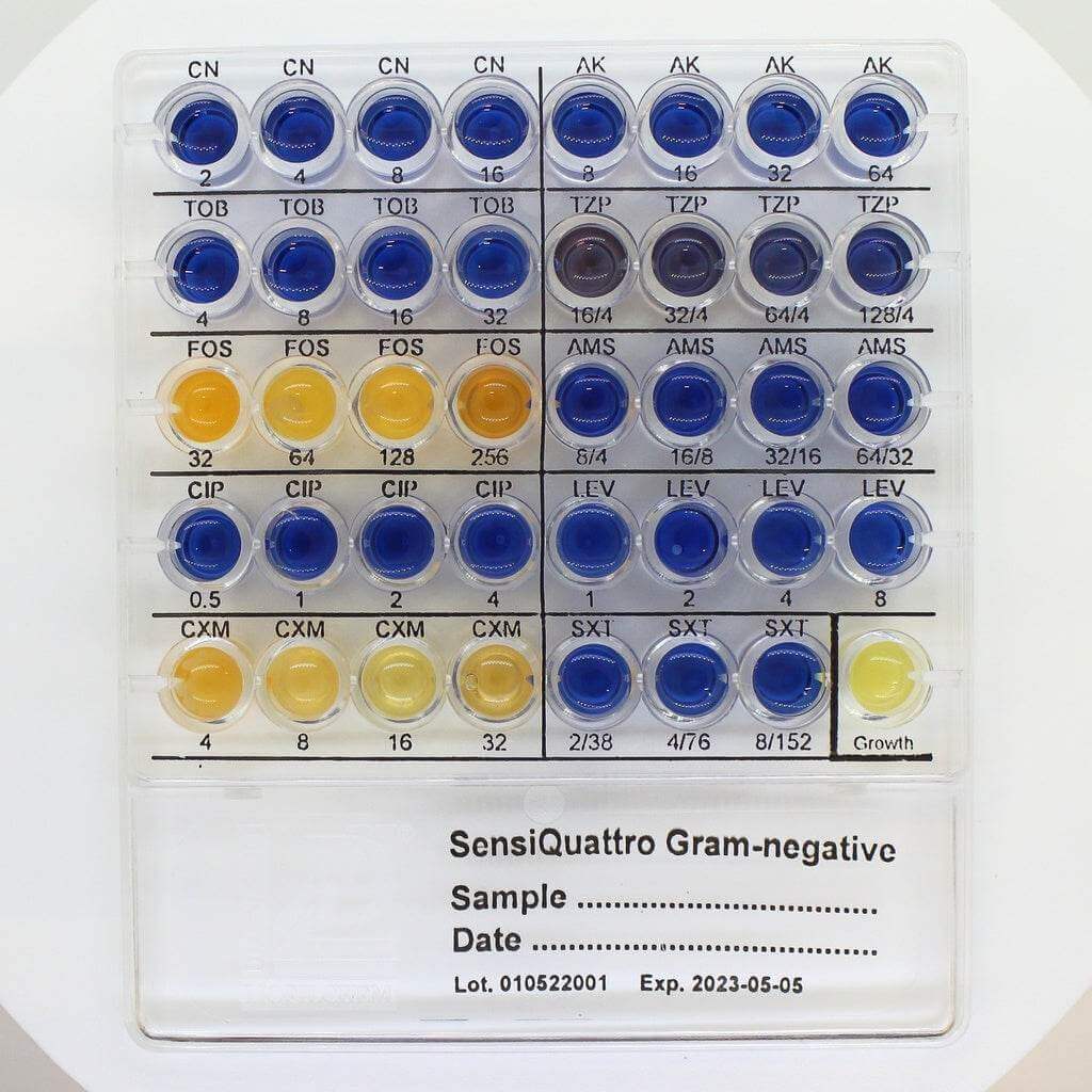 SensiQuattro Gram-negative - Kormay Biomedicals store