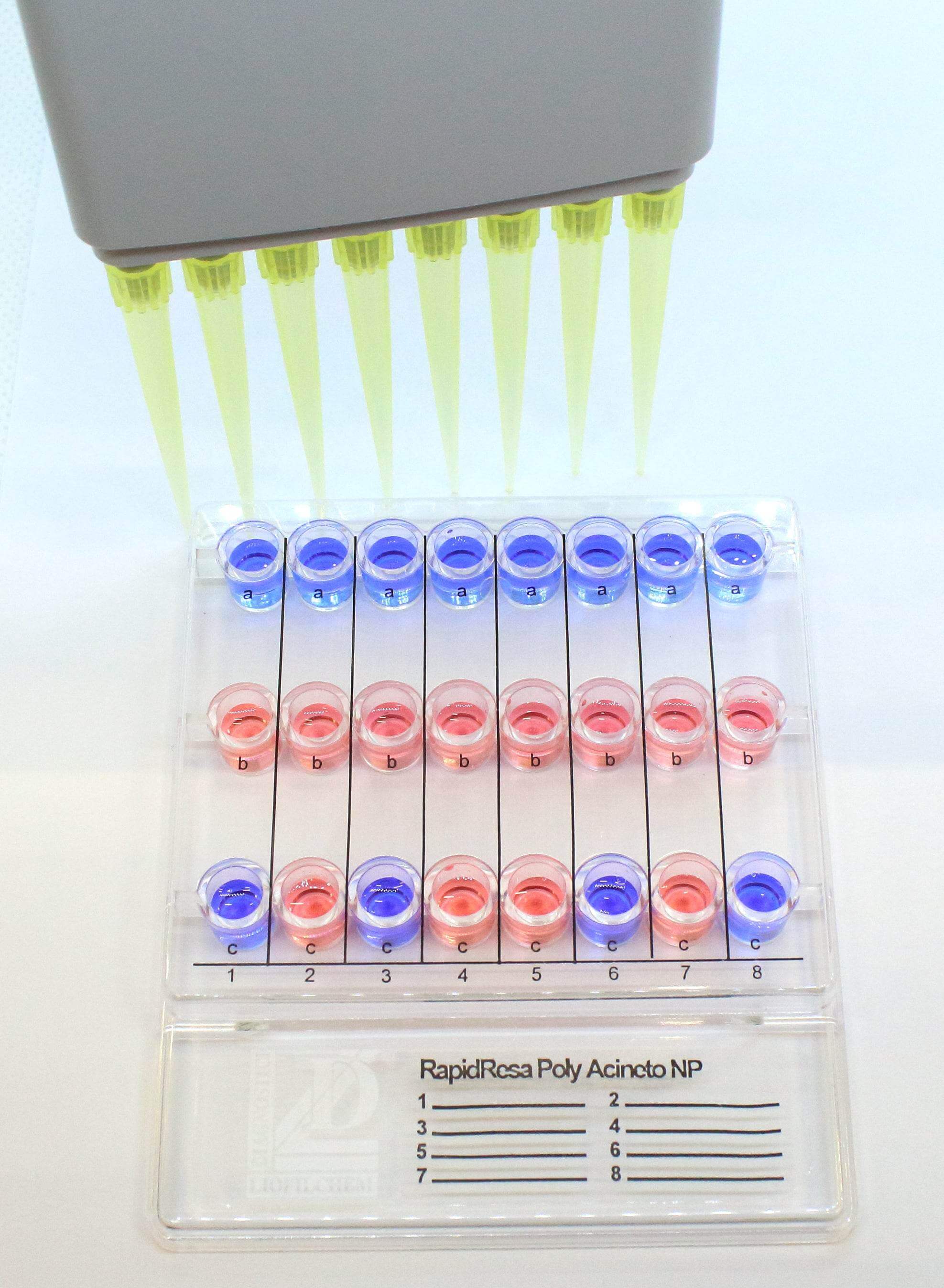 RapidResa Polymyxin Acinetobacter NP Test - Kormay Biomedicals store