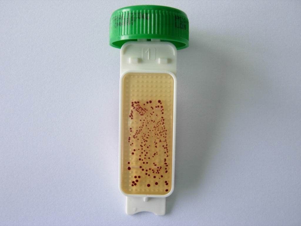 Contact Slide 3 - Kormay Biomedicals store