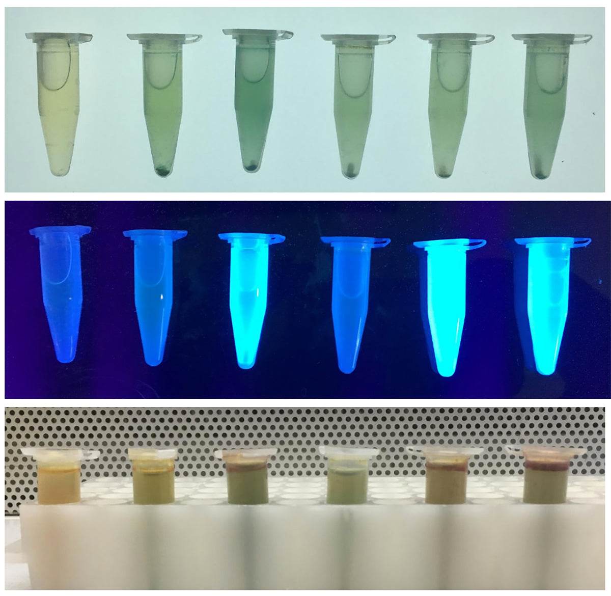 Chromogenic Analysis of Water Contaminants - Kormay Biomedicals store