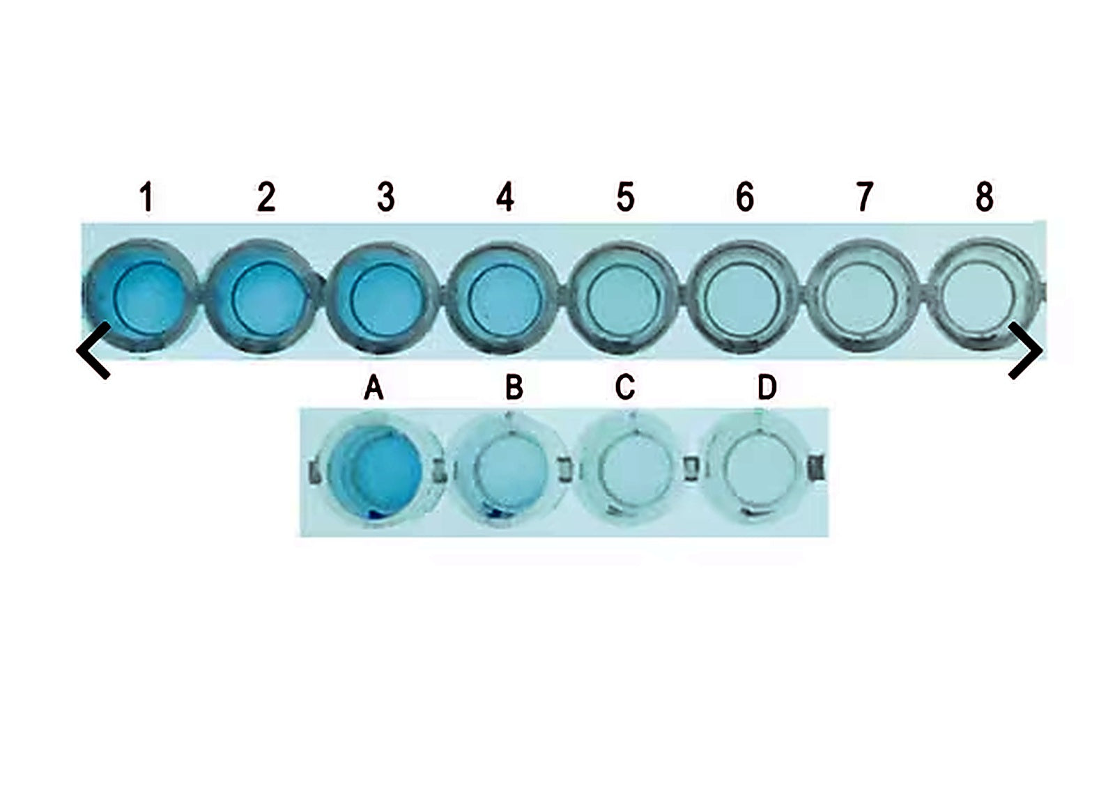 EDVOTEK What's In My Lunch? Quantitative Milk Allergy ELISA 266 - Liofilchem product