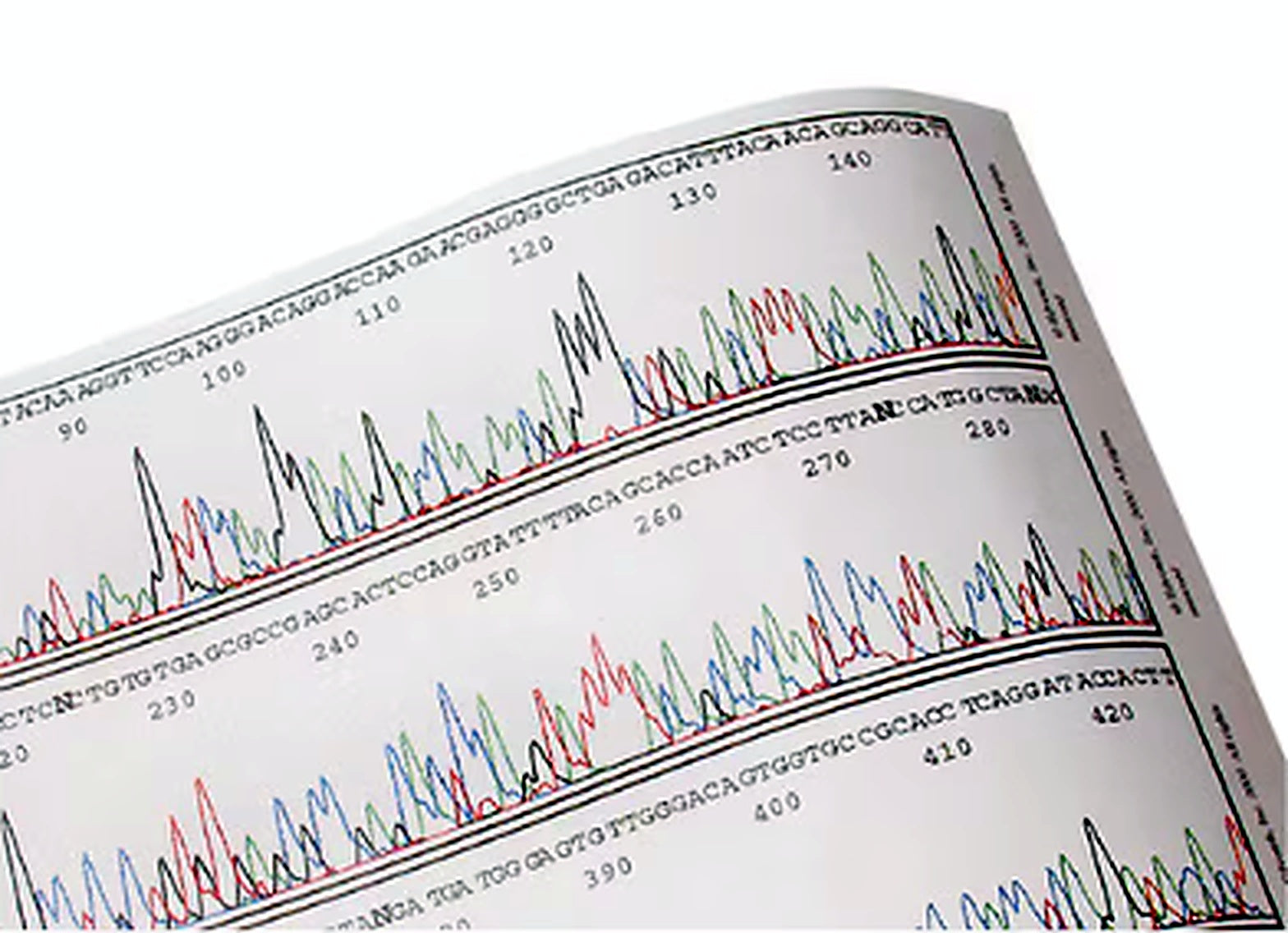 EDVOTEK Sequencing the Human Microbiome 339340 - Liofilchem product