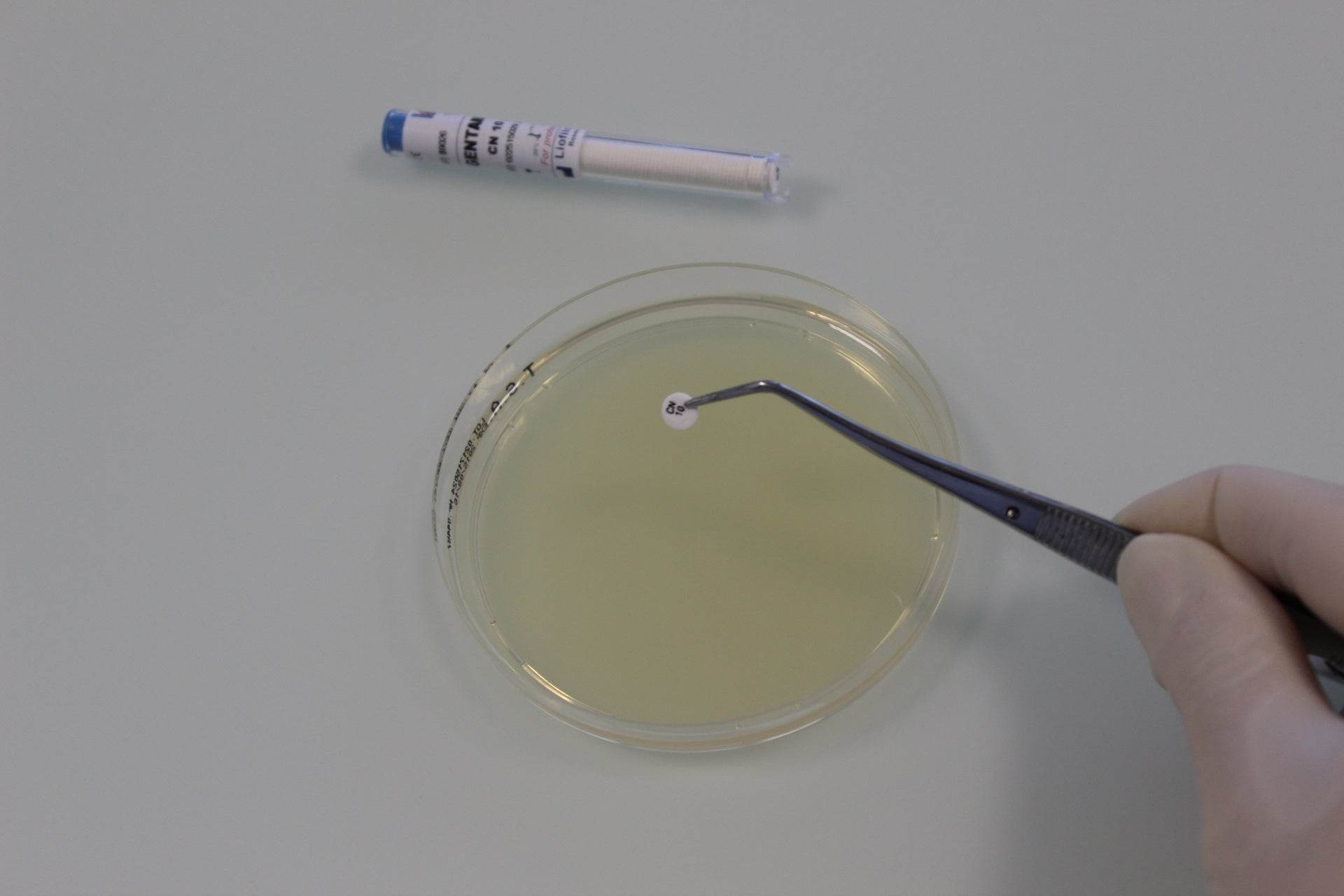 AST DISC Voriconazole VO 1µg - Kormay Biomedicals store