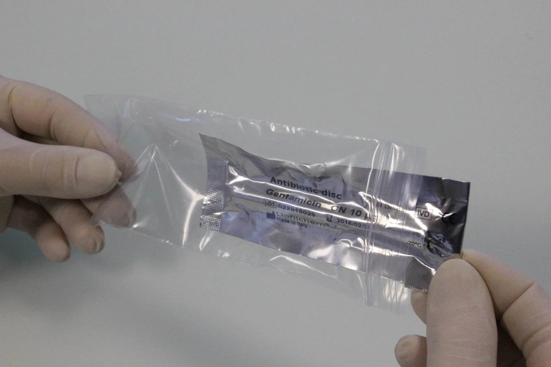 Liofilchem Lincomycin MY 2 µg microbiology antibiotic susceptibility testing disc on sterile backing paper.