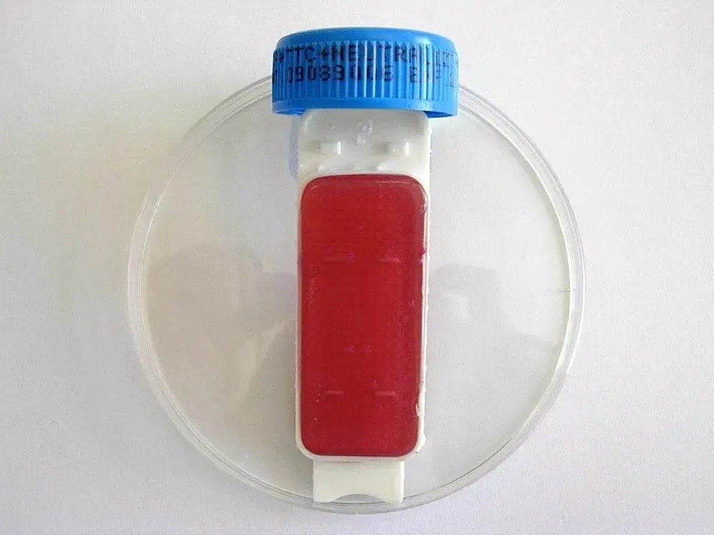 Liofilchem Contact Slide 1 53526