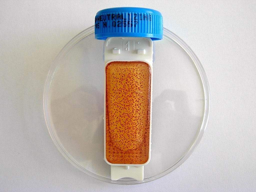 Contact Slide 1 - Kormay Biomedicals store