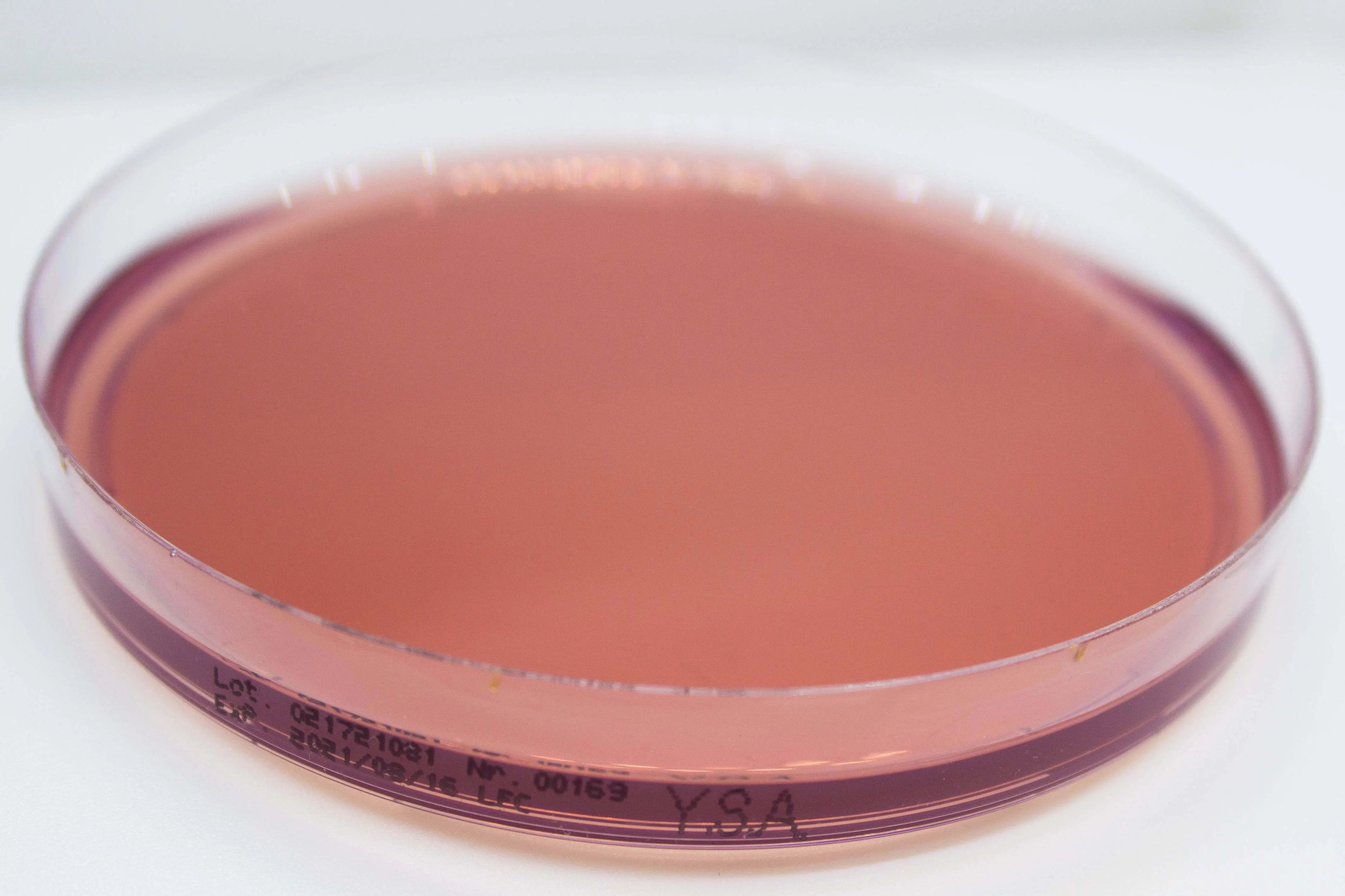YERSINIA Selective Agar - Kormay Biomedicals store
