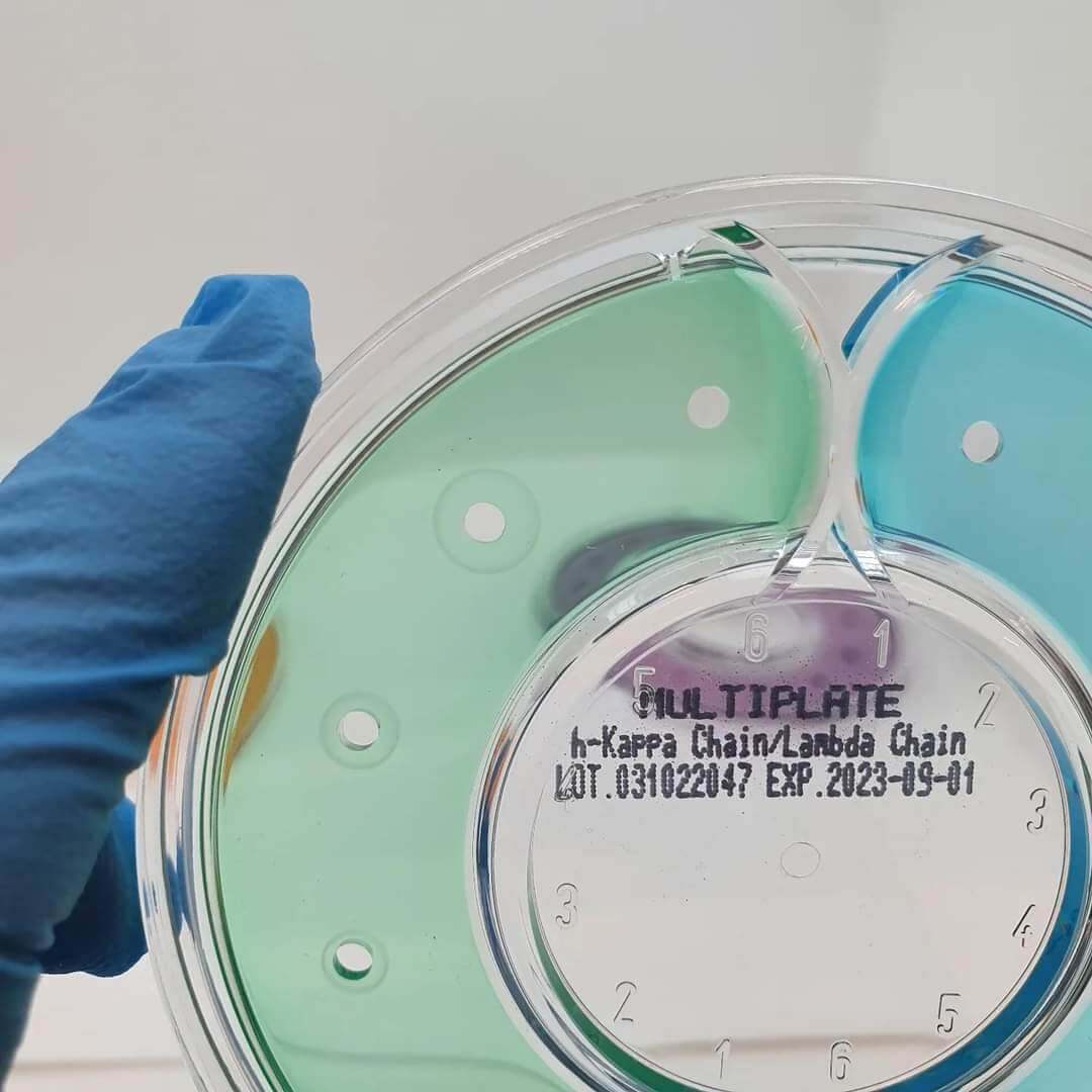 MULTIPlate h-Kappa Chain/Lambda Chain - Kormay Biomedicals store
