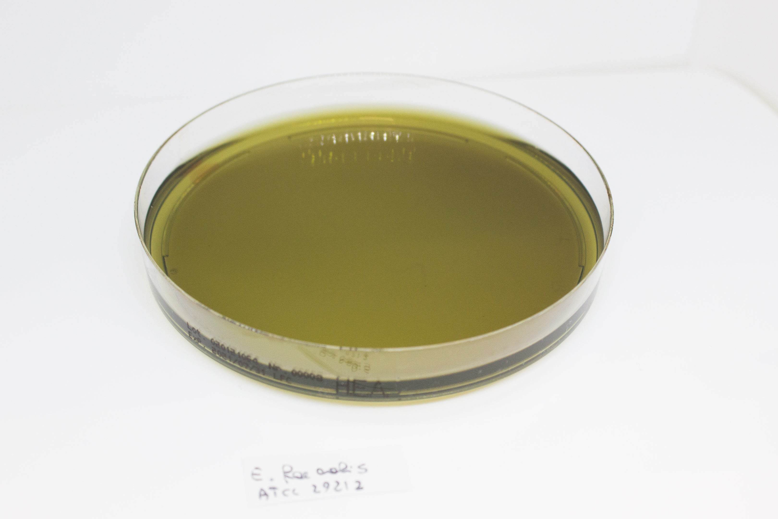 Hektoen Enteric Agar - Kormay Biomedicals store