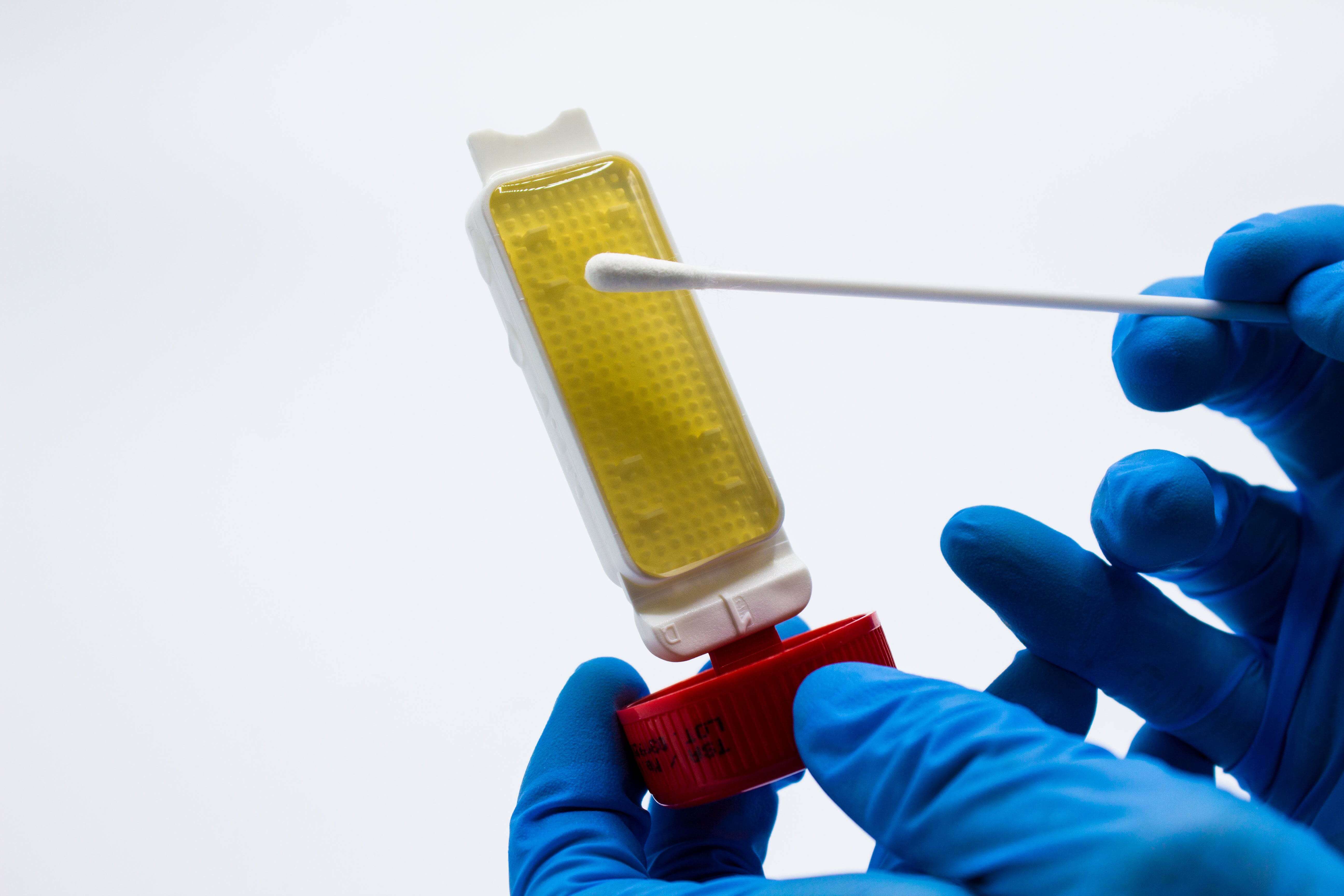 Uritest Malto - Kormay Biomedicals store