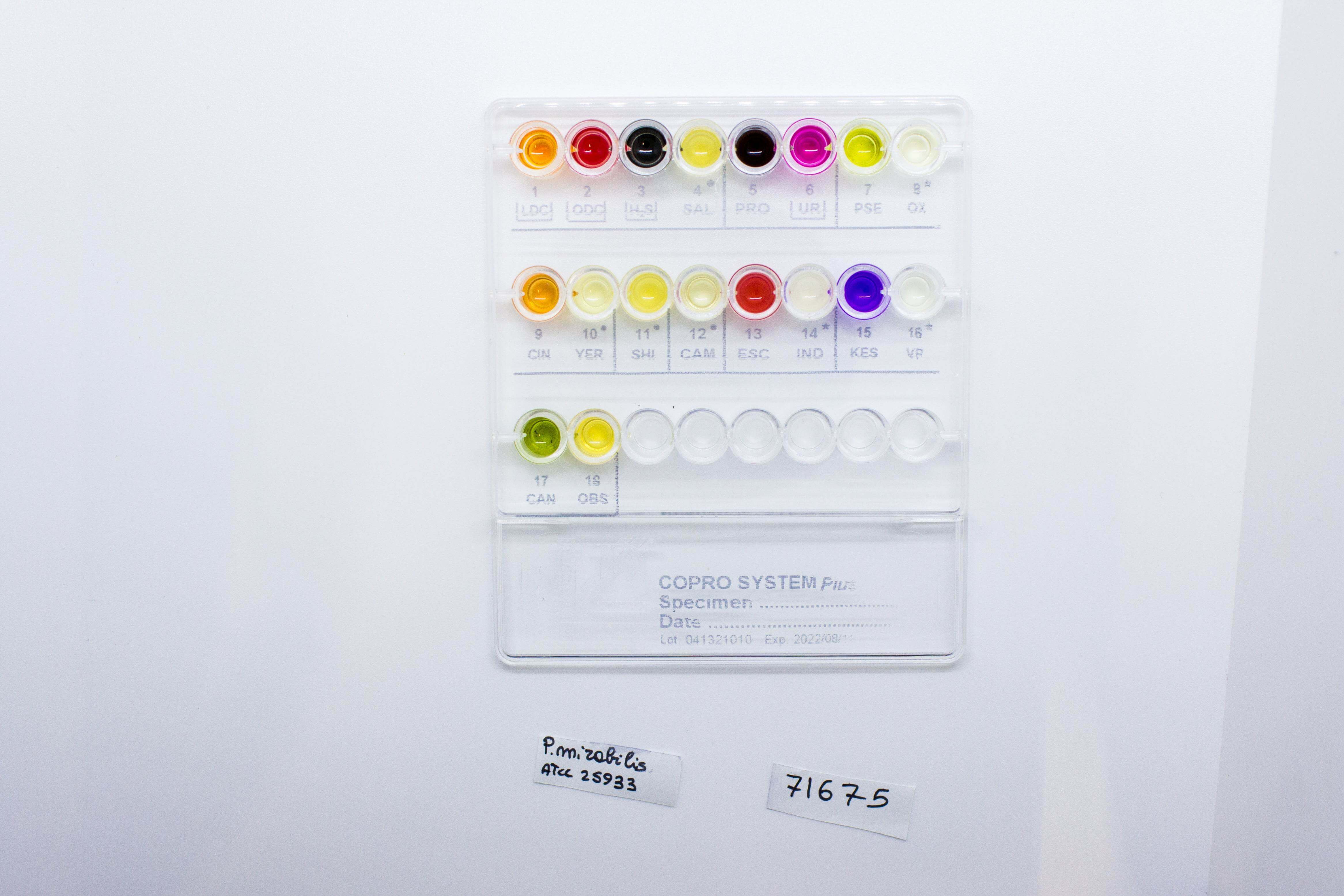 COPRO SYSTEM PLUS - Kormay Biomedicals store