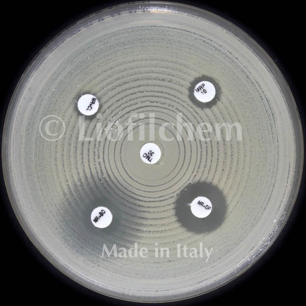 AST DISC KPC&MBL&OXA-48 disc kit (acc. to EUCAST) - Kormay Biomedicals store