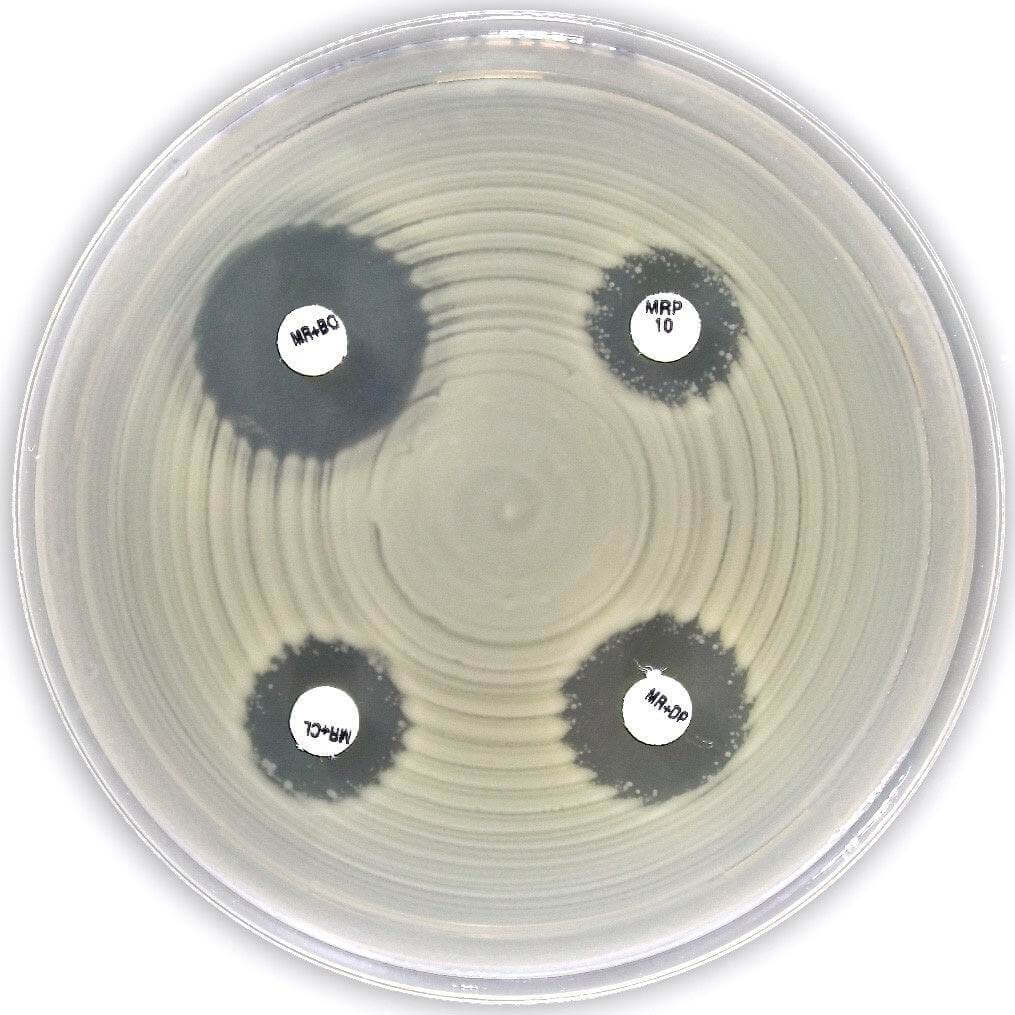 AST DISC KPC&MBL disc kit (acc. to EUCAST) - Kormay Biomedicals store