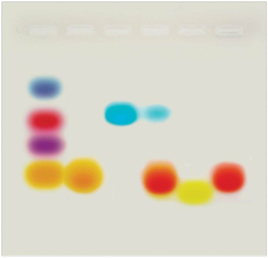 Candy Electrophoresis - Kormay Biomedicals store