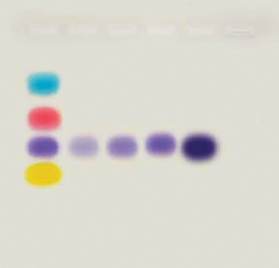 What Is PCR and How Does It Work? - Kormay Biomedicals store