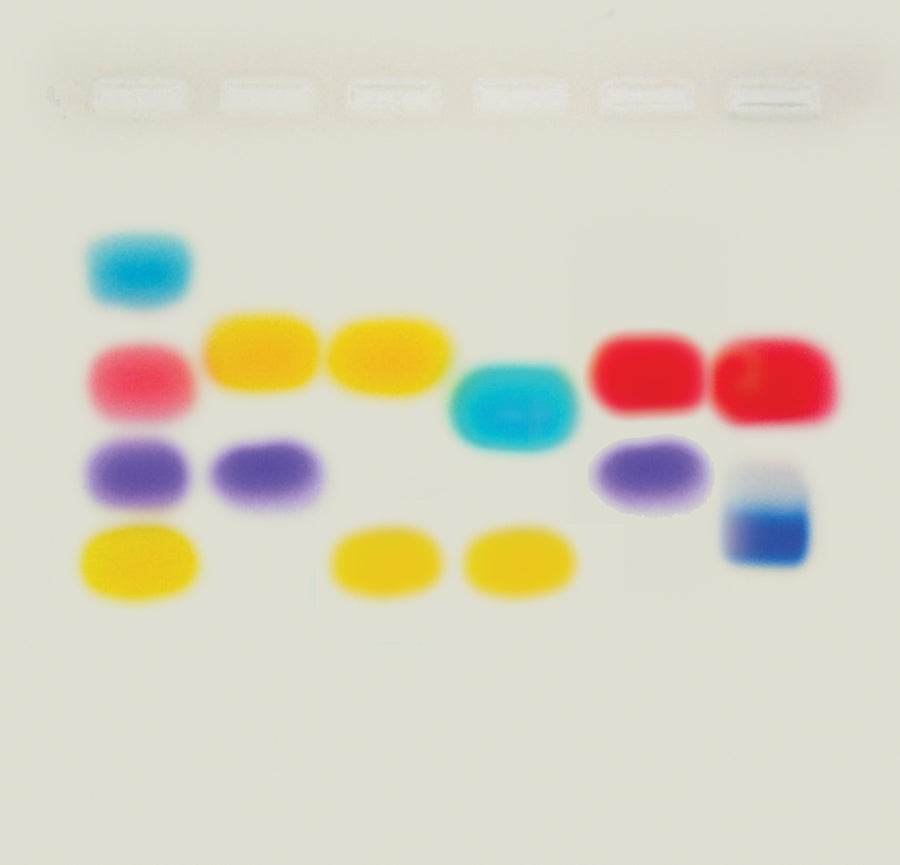 In Search of My Father - Kormay Biomedicals store