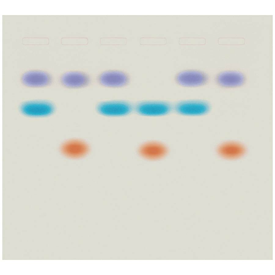 Whose DNA Was Left Behind? - Kormay Biomedicals store