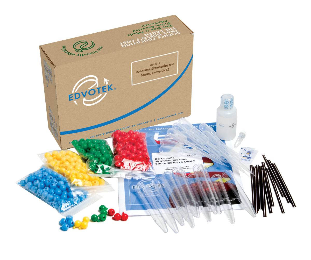 Do Onions, Strawberries and Bananas Have DNA? - Kormay Biomedicals store