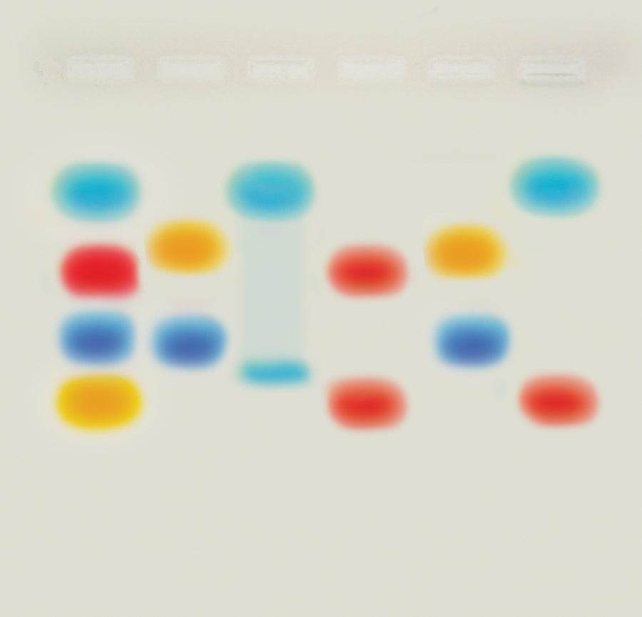 Linking STEM to Agarose Gel Electrophoresis - Kormay Biomedicals store