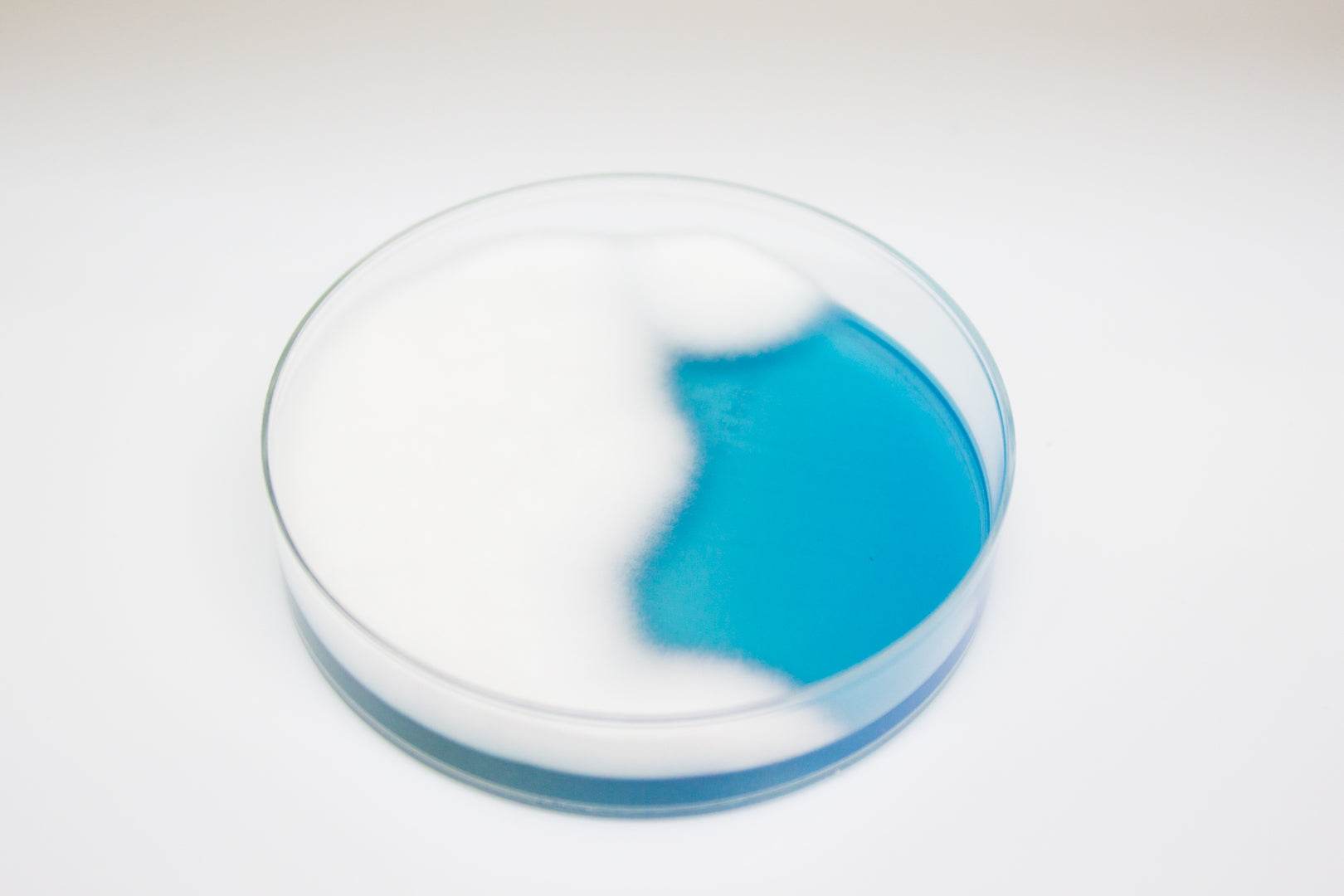 WL NUTRIENT Agar - Kormay Biomedicals store