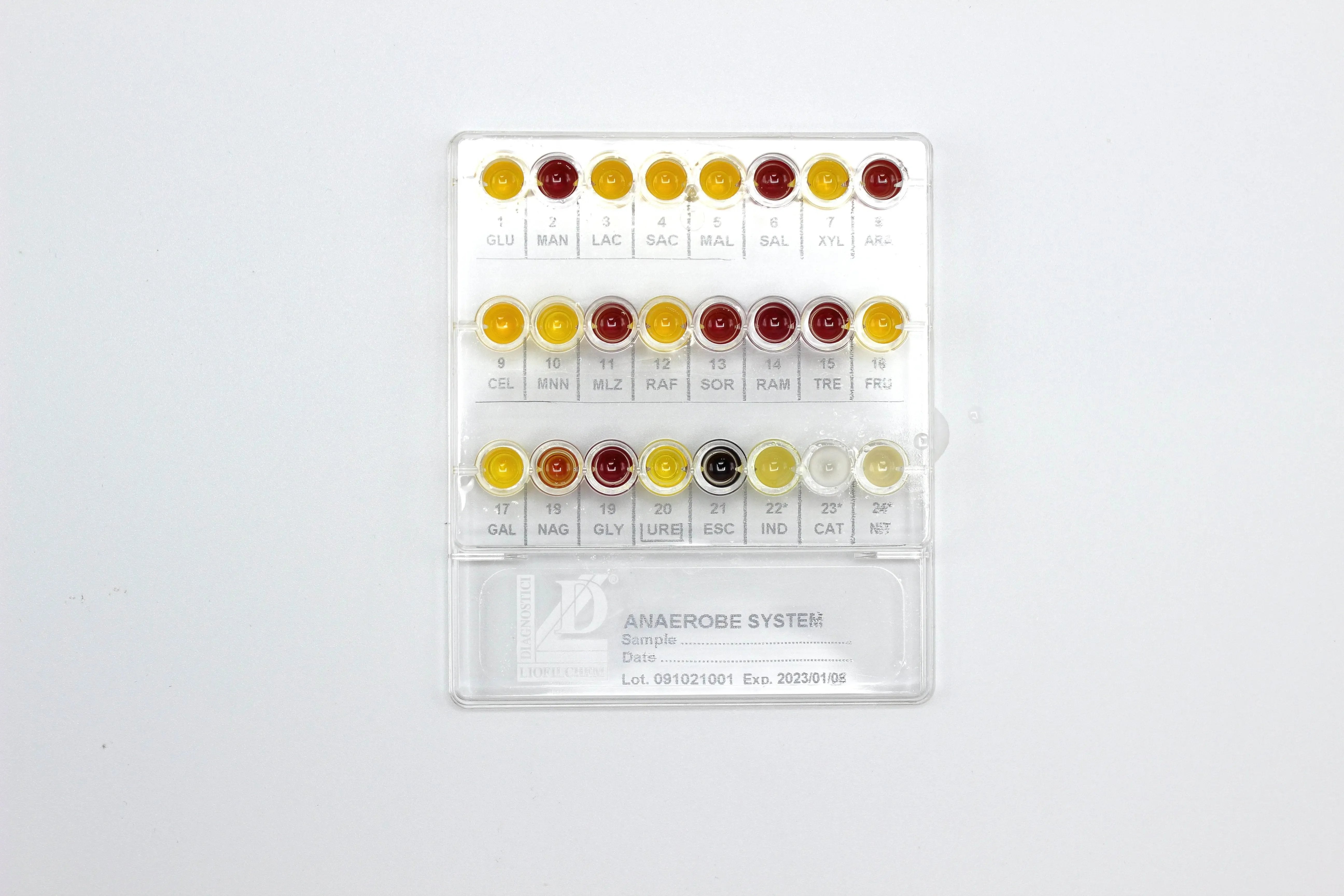 Liofilchem Anaerobe System 71620