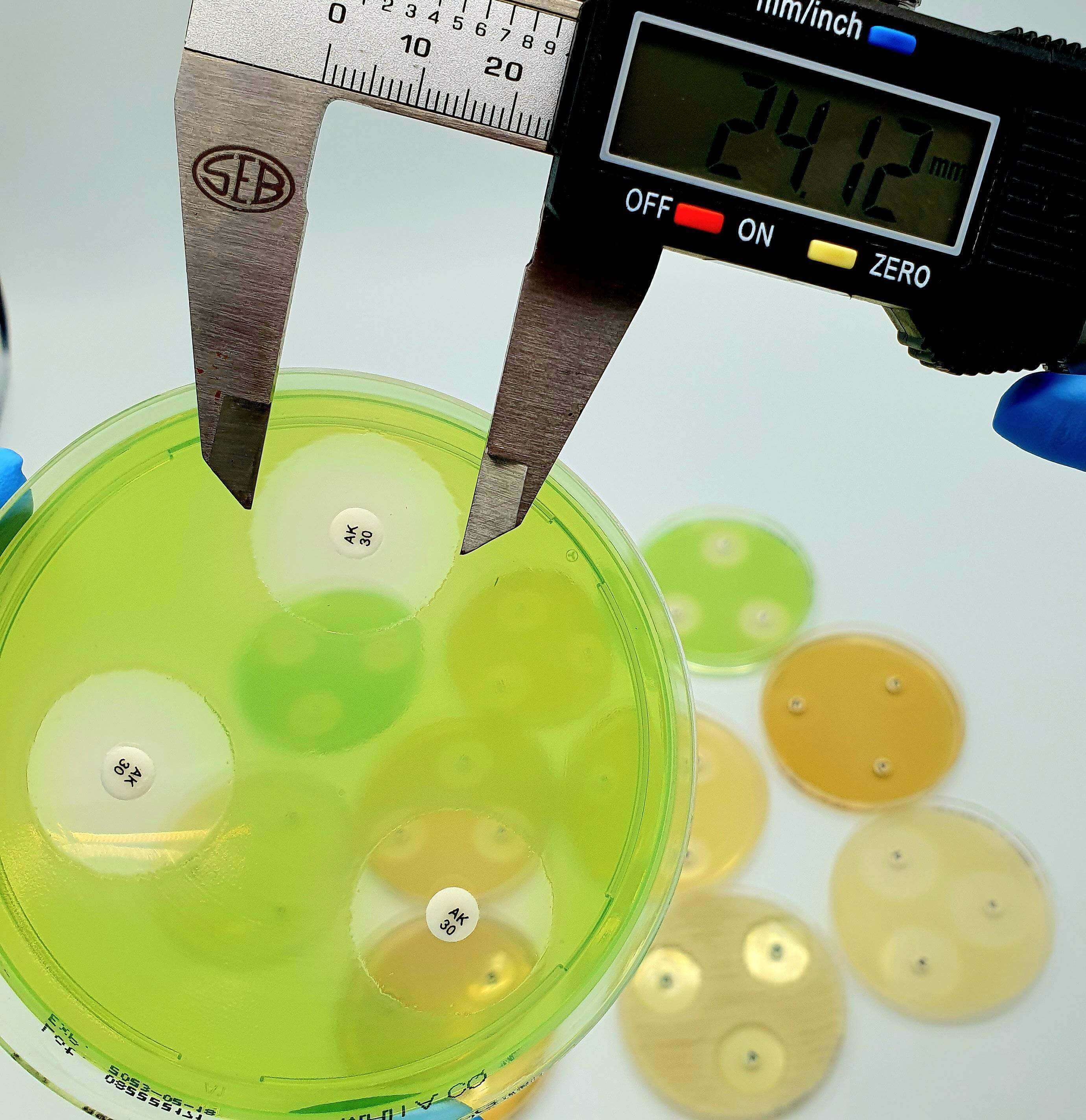 Liofilchem Apramycin AP 15 µg Antibiotic discs for susceptibility tests 9300