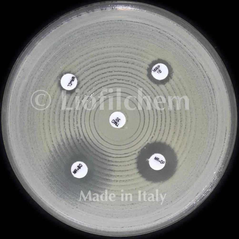 Liofilchem KPC&MBL&OXA-48 disc kit (acc. to EUCAST) for confirmation of 99007