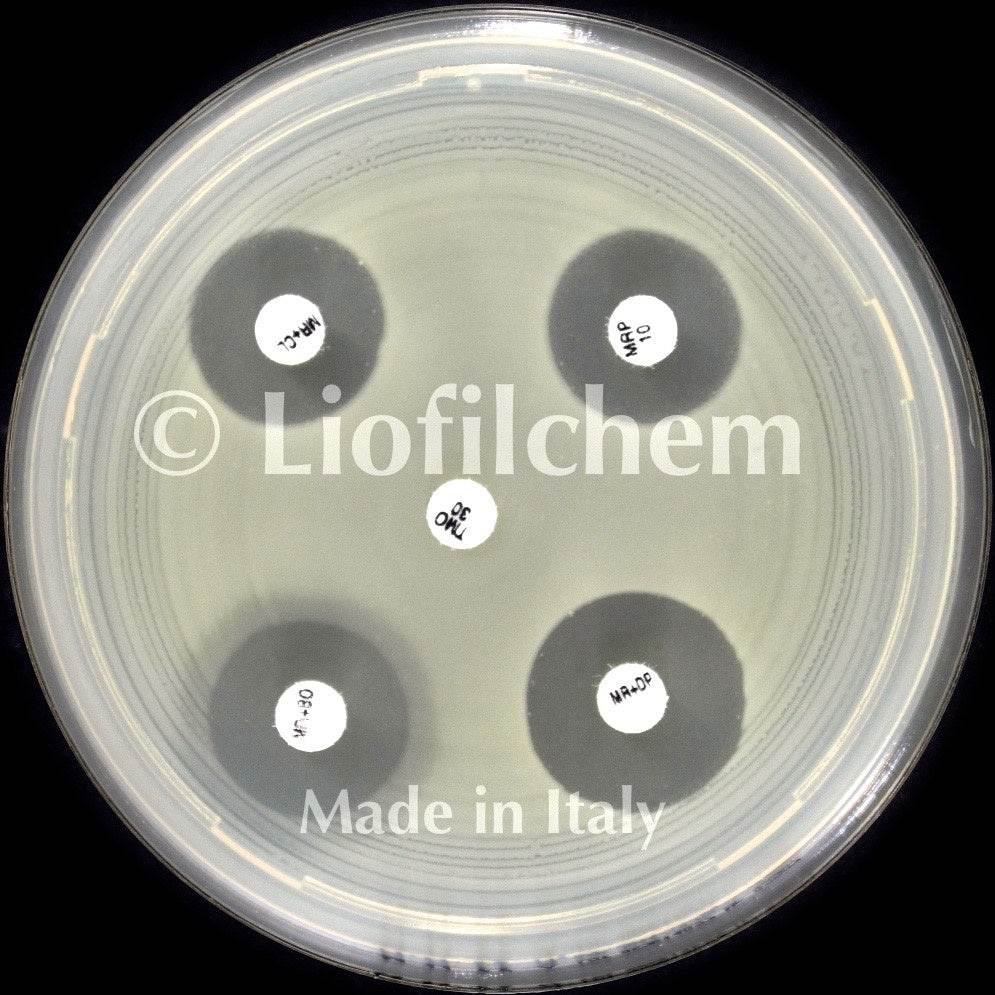 Liofilchem KPC&MBL&OXA-48 disc kit (acc. to EUCAST) for confirmation of 99007