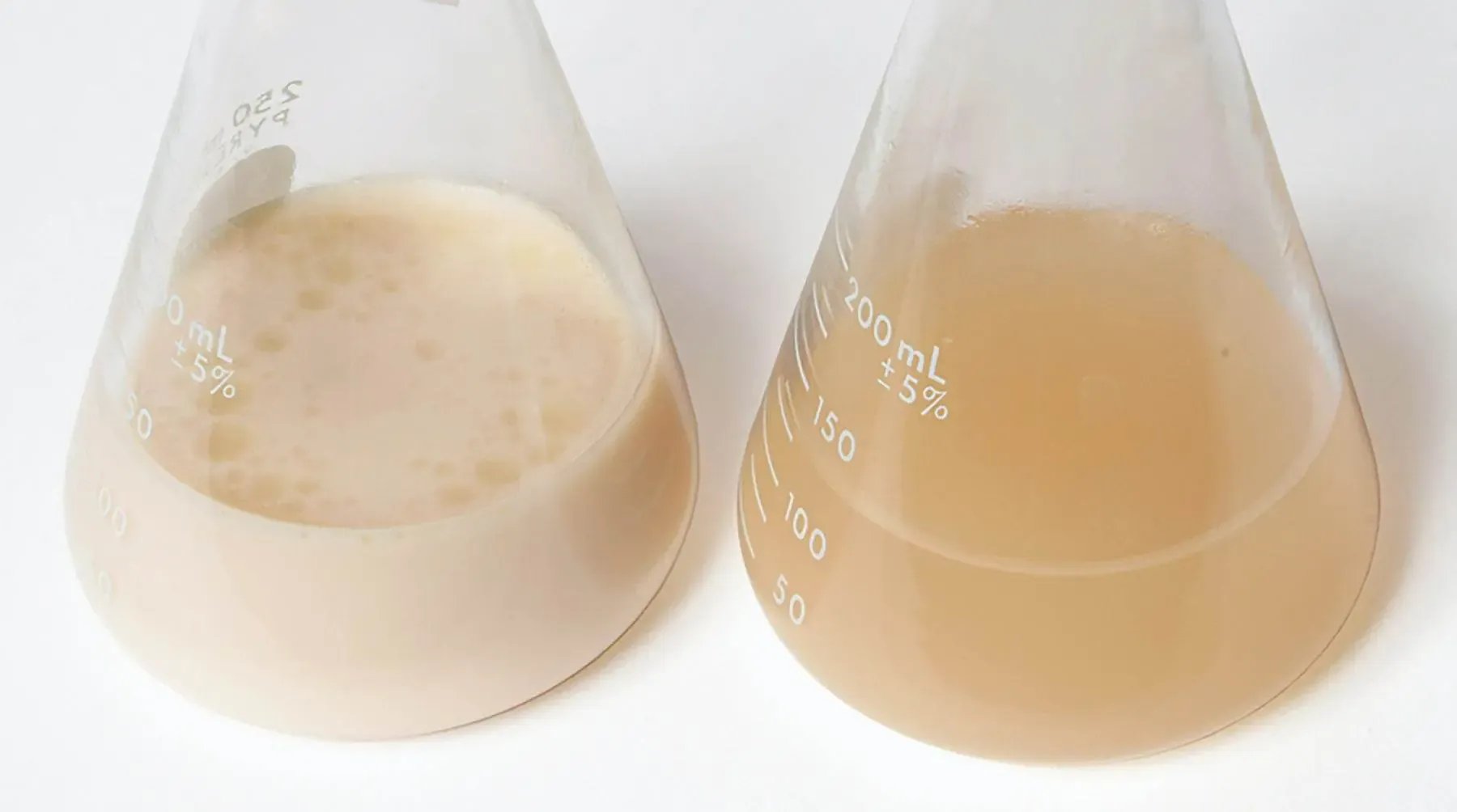 EDVOTEK Biotech Education UNIT Bioremediation by Oil Eating Bacteria