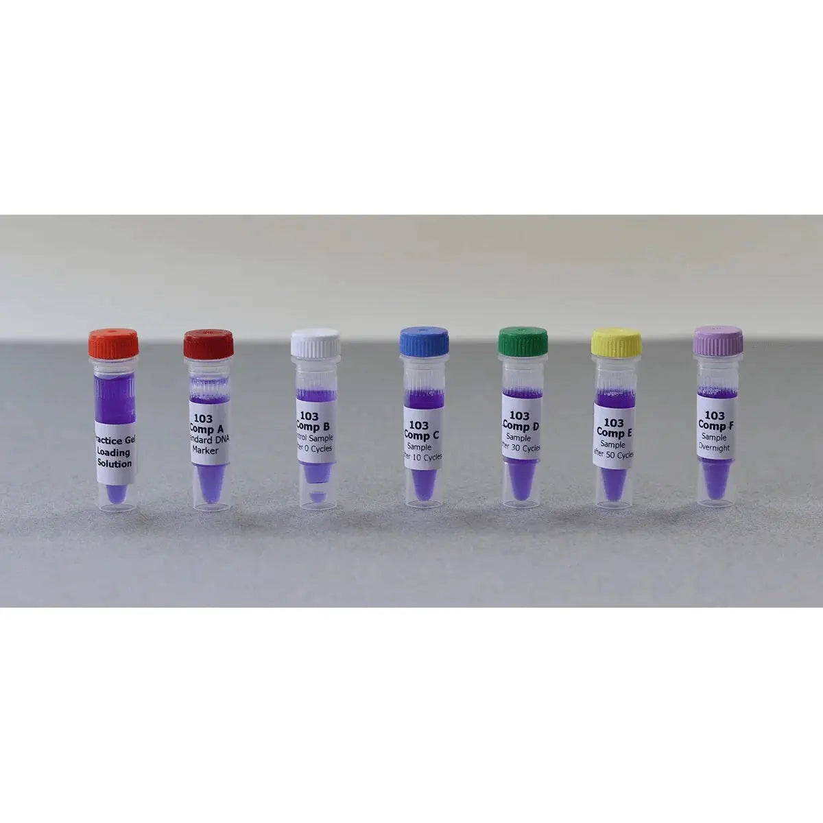 EDVOTEK Biotech Education UNIT Bulk Replenisher (24 Groups) - Expt. 103