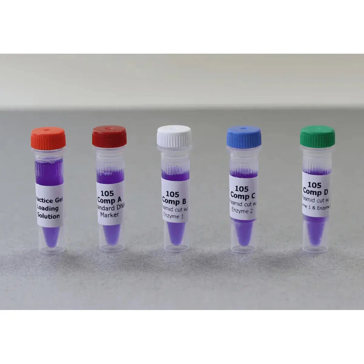 EDVOTEK Biotech Education UNIT Bulk Replenisher (24 Groups) - Expt. 105