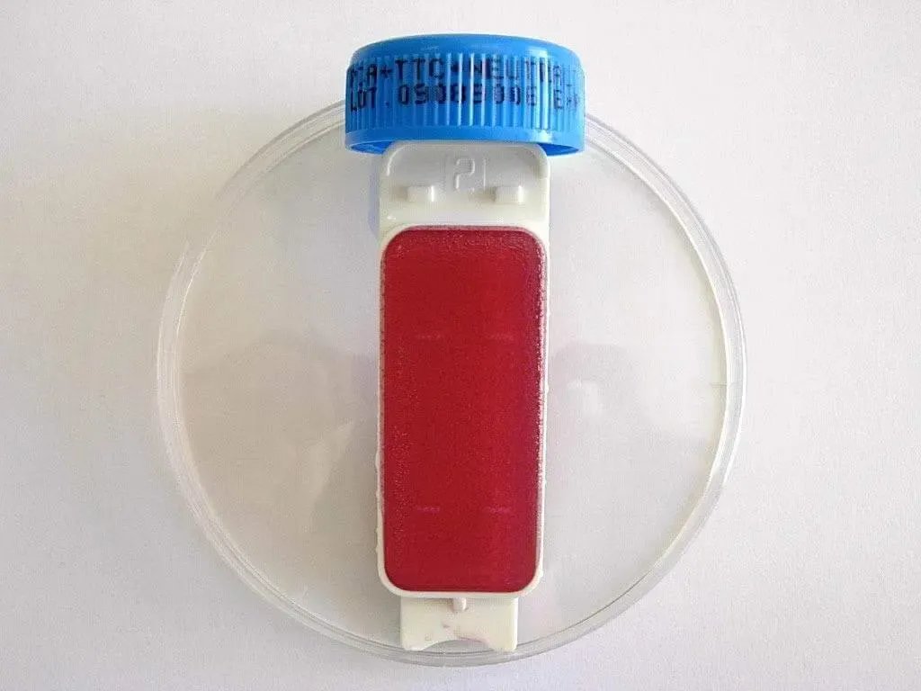 Liofilchem Contact Slide 1 53526