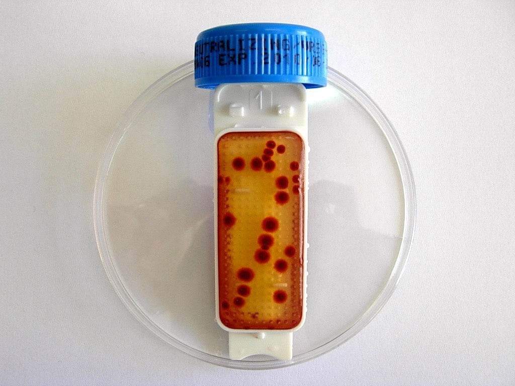 Liofilchem Contact Slide 1 53526