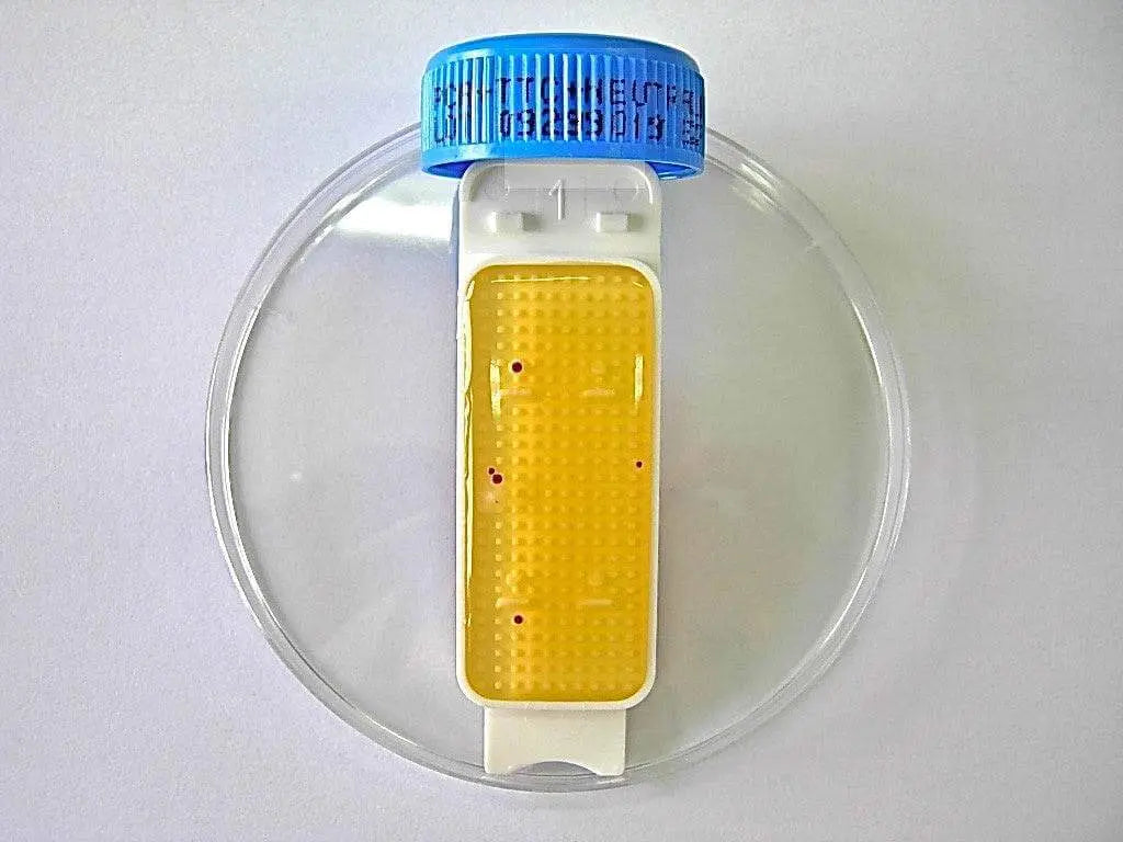 Liofilchem Contact Slide 1 53526