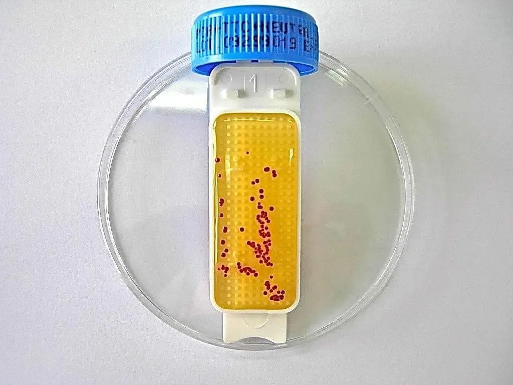 Liofilchem Contact Slide 1 53526